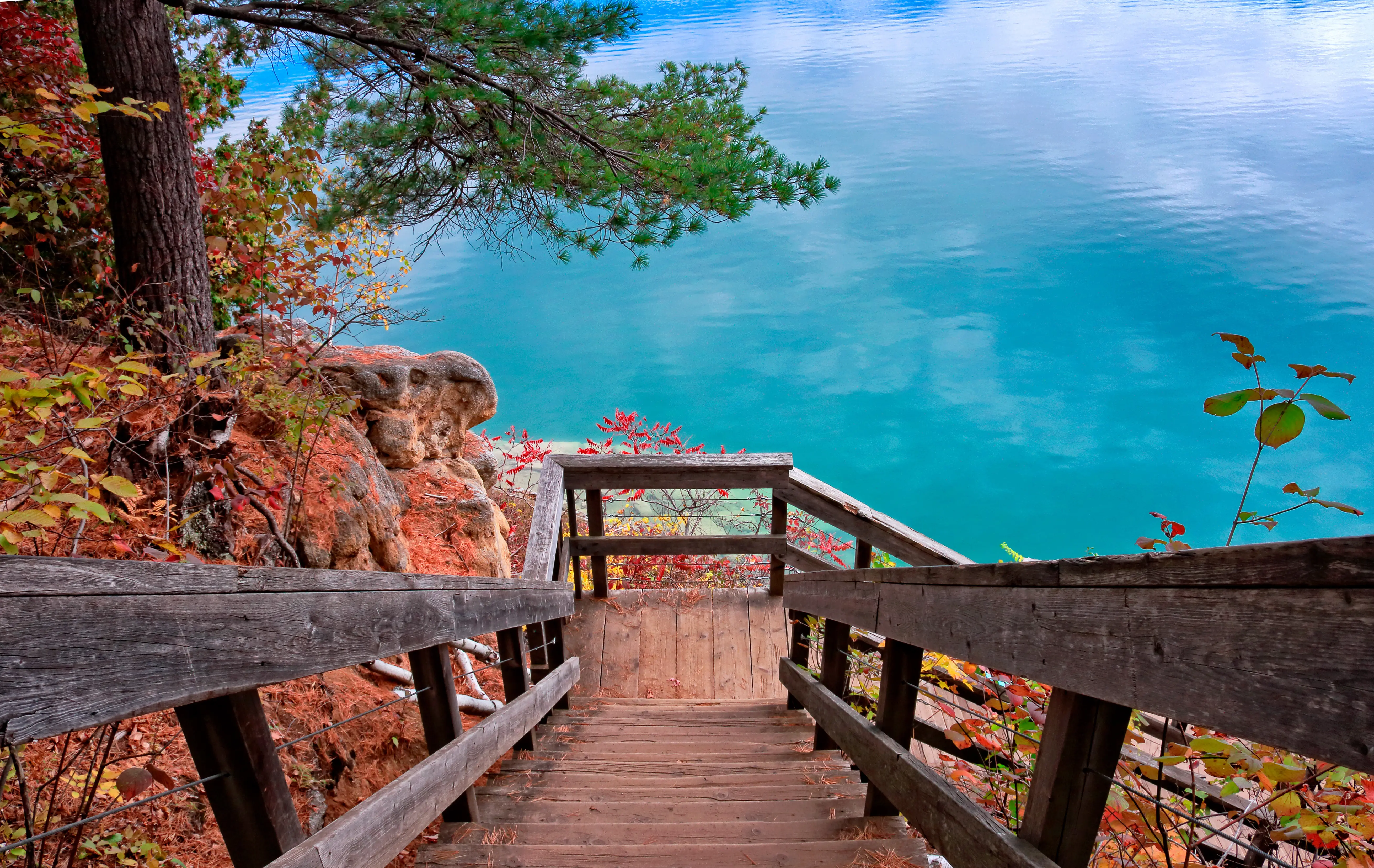 Looking down wood stairs of hiking trail around Lac Pink (Pink Lake) in Gatineau Park, Quebec, Canada, in autumn