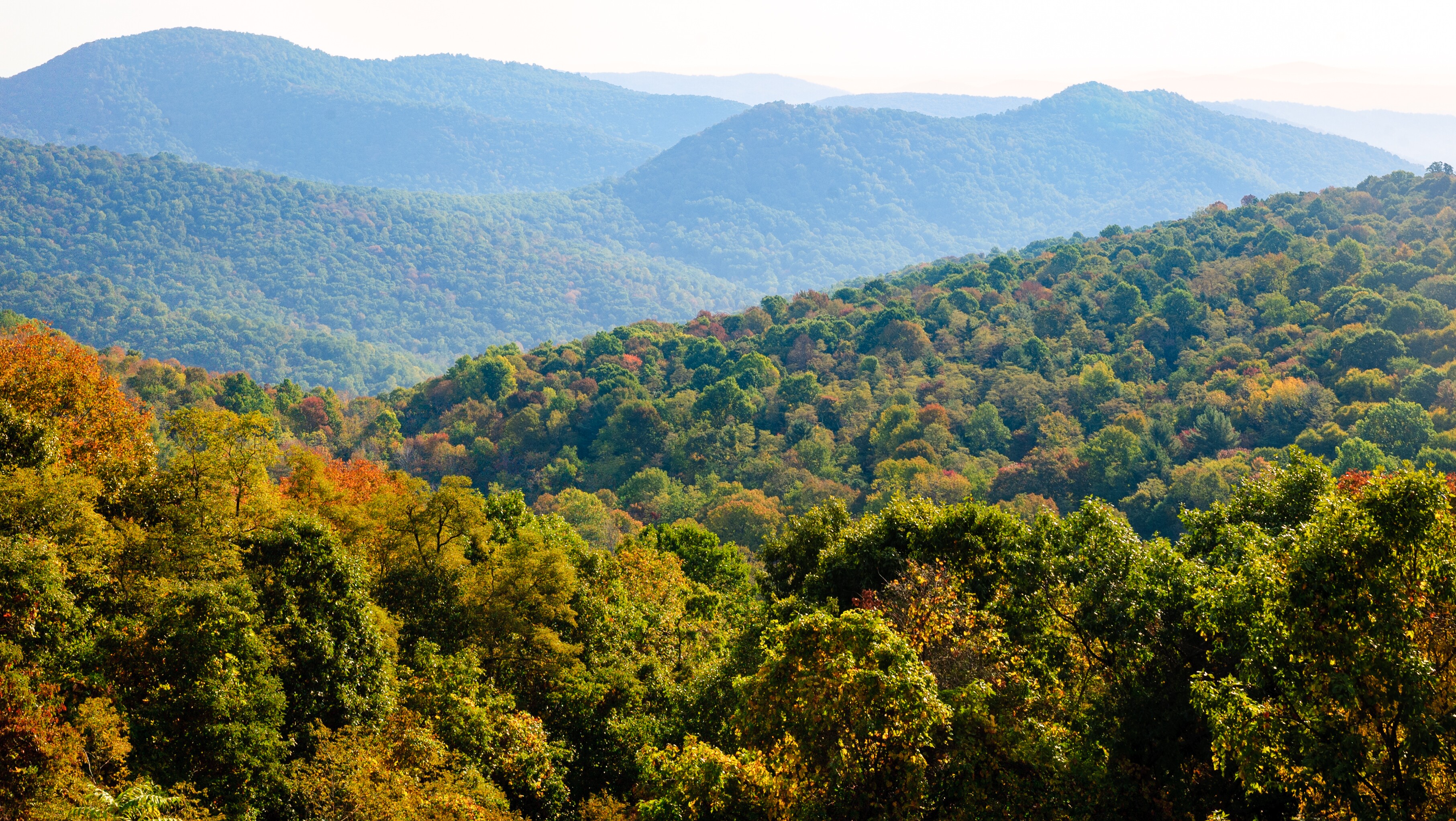 Shenandoah Valley Vistas Scenic Highway Road Trip