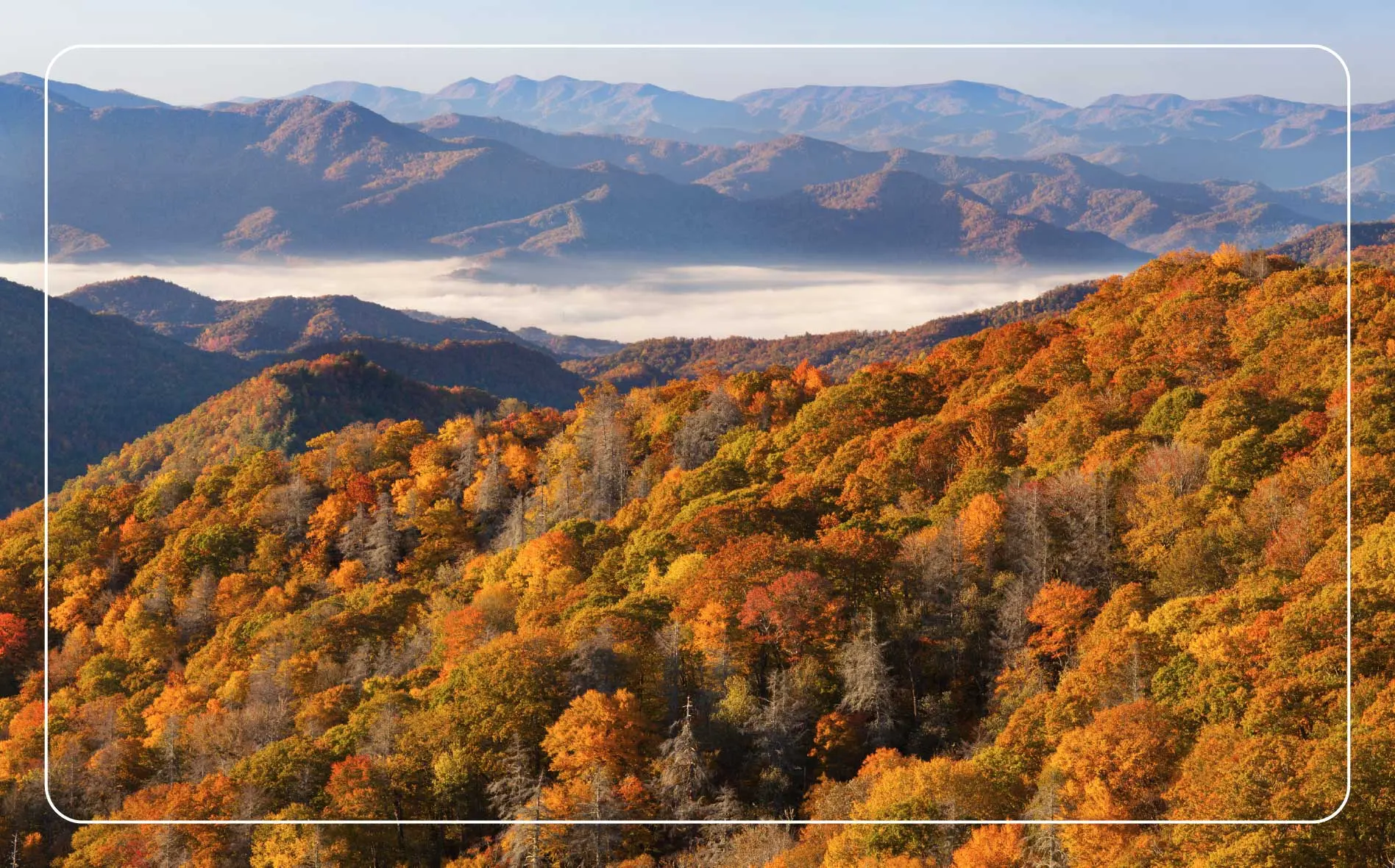 Views of Great Smoky Mountains, with morning fog and autumn foliage.
