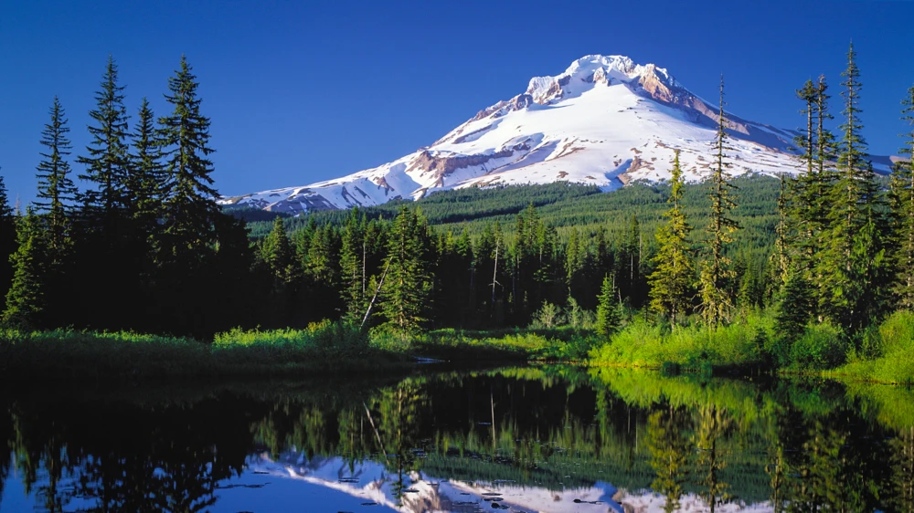 View of snow-capped Mount Hood against a bright blue sky in Oregon.