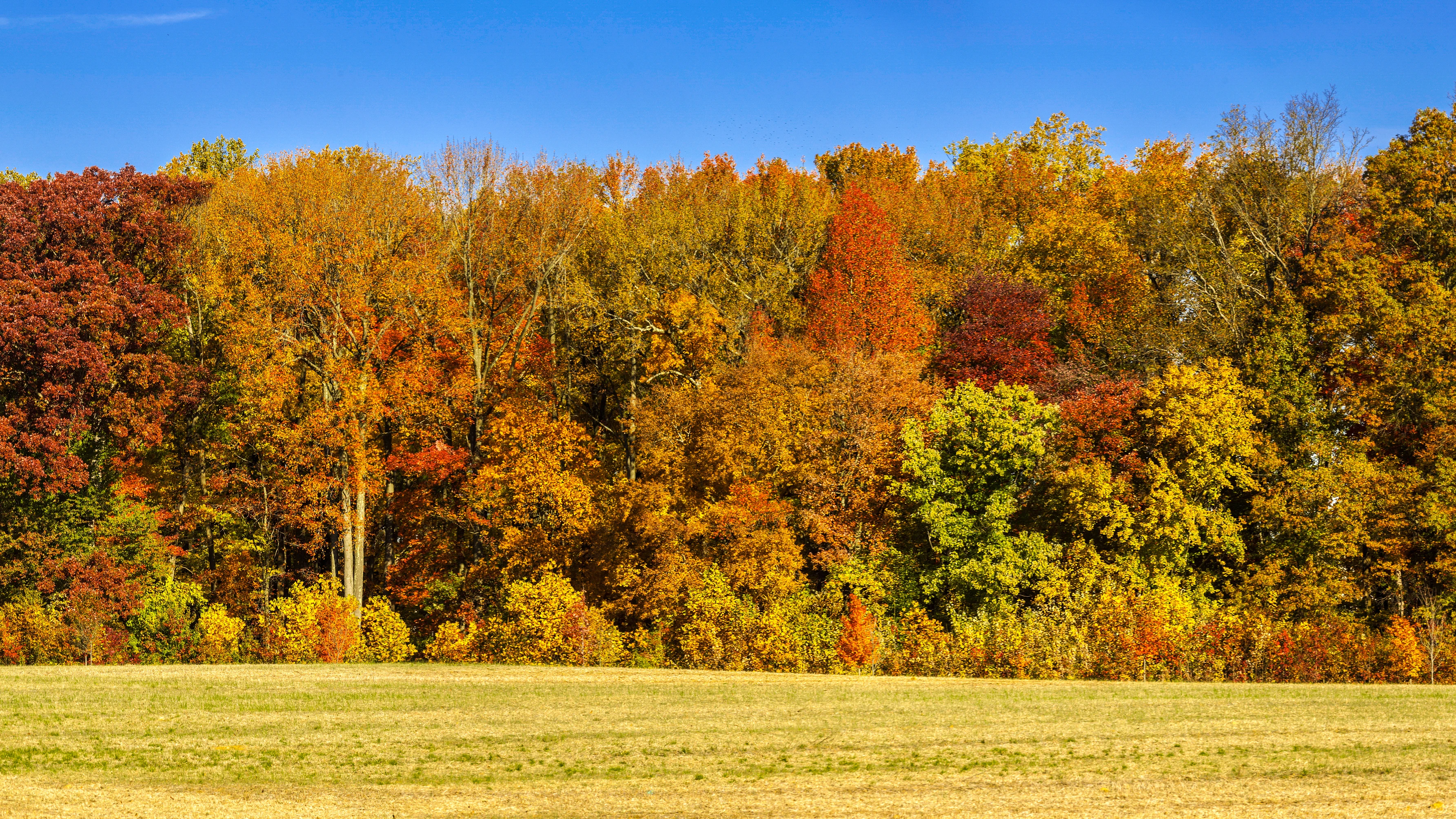 Maryland's National Scenic Freeway Road Trip