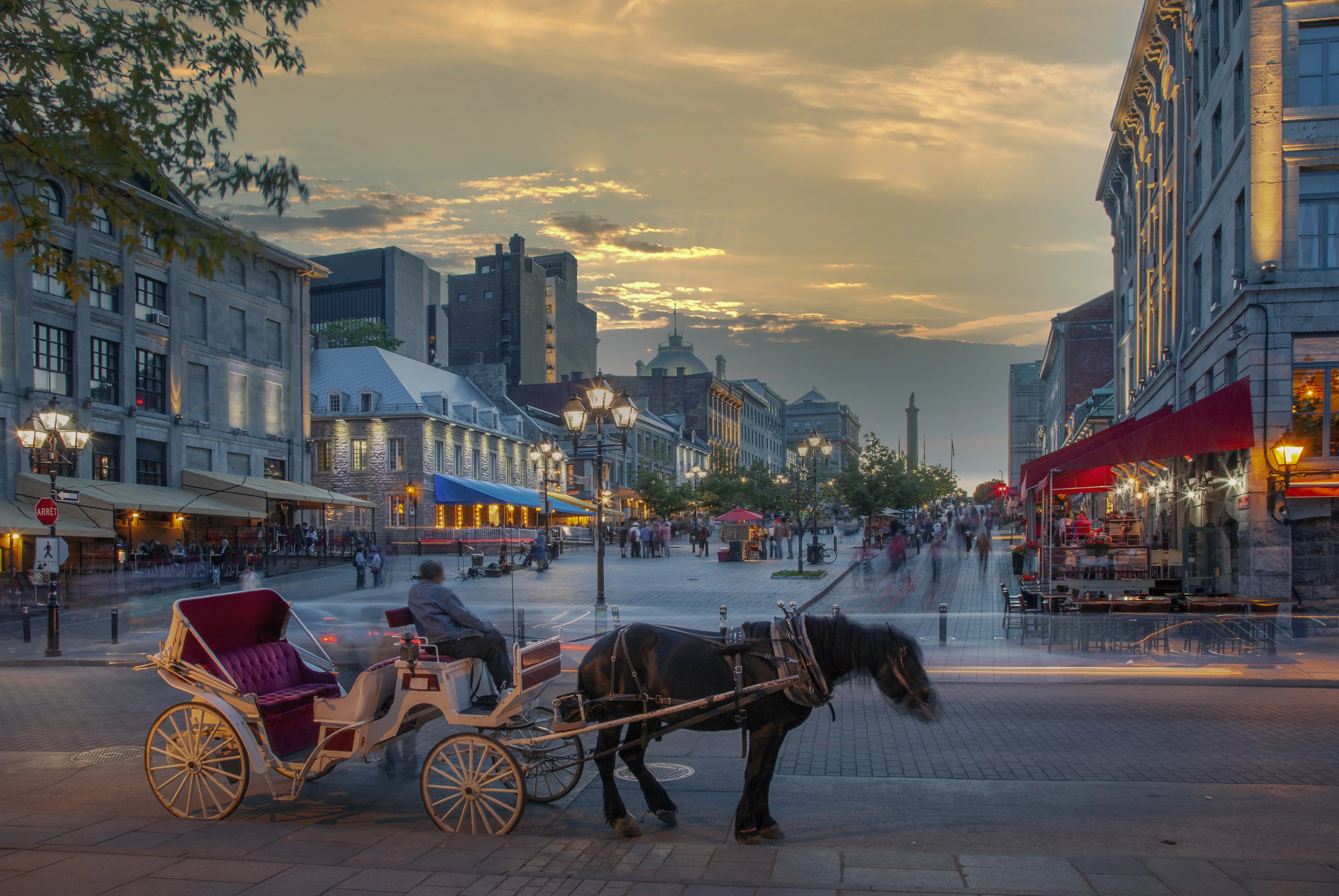 Image of a horse-pulled carriage in Place Jacques Cartier, Old Montreal, at night.