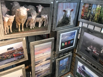 20 Cheap or Free Things to Do in Halifax, Nova Scotia - Trip Canvas