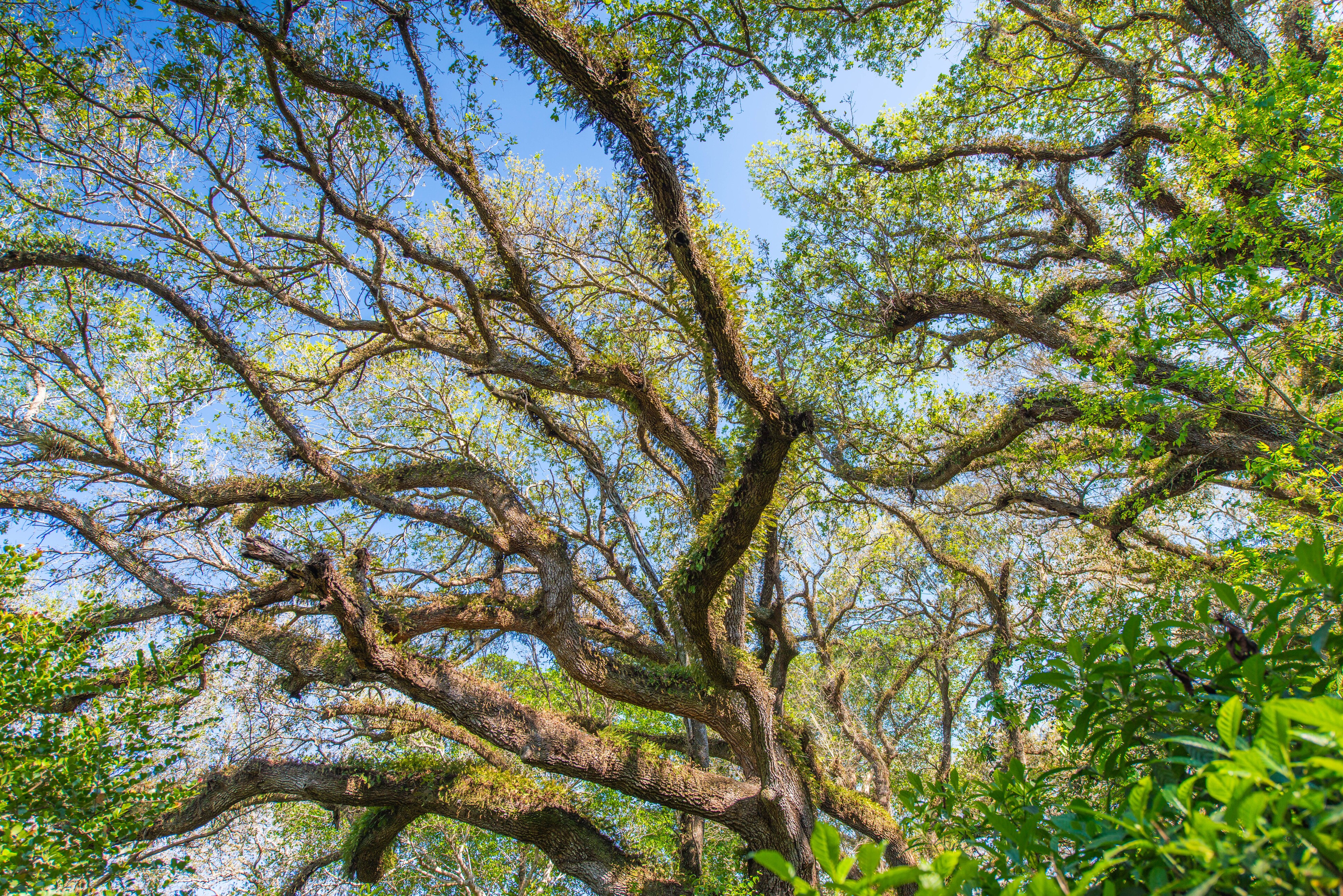 Ormond Loop & Trail Scenic Byway Road Trip