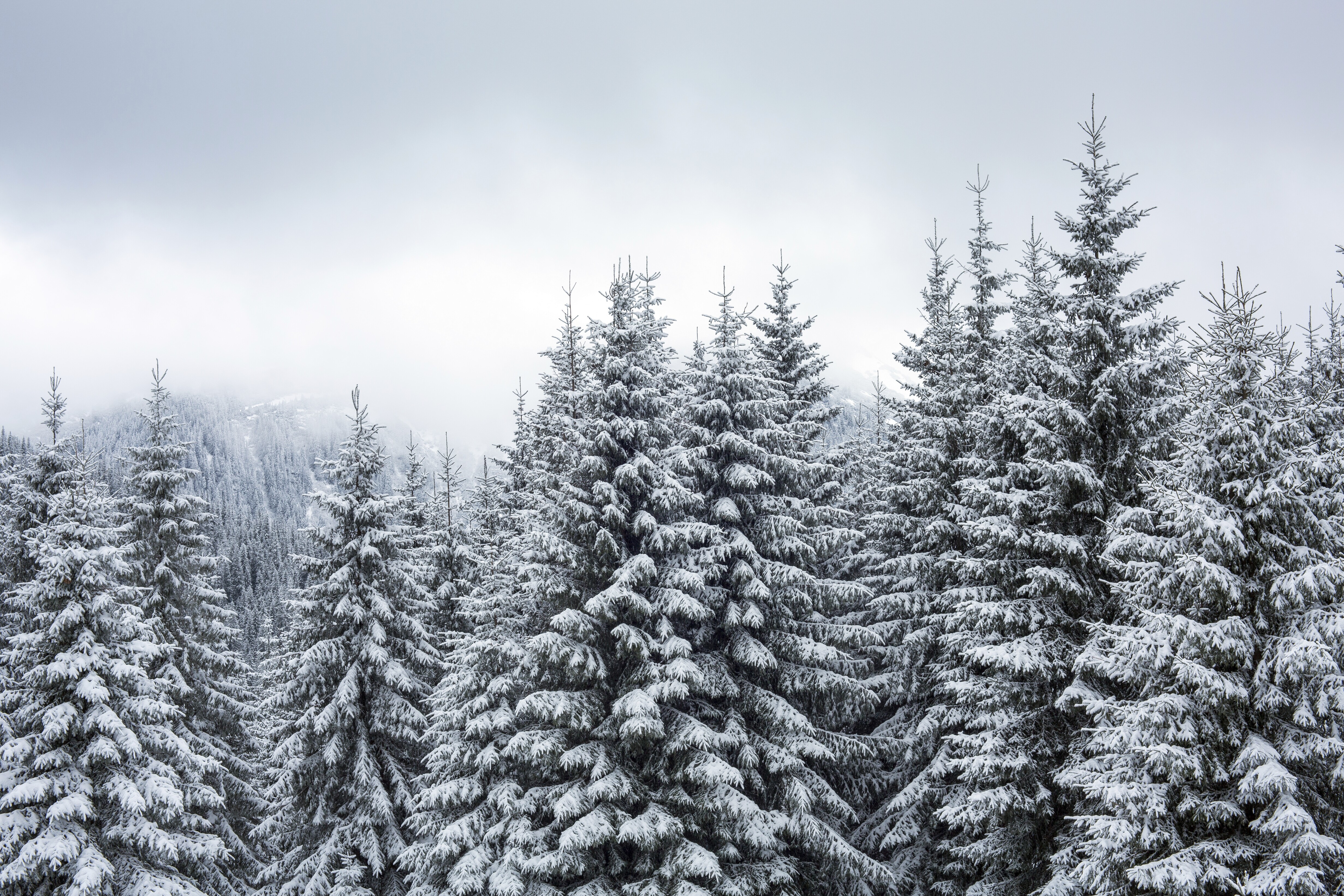 Smugglers' Notch Pass Scenic Highway Road Trip