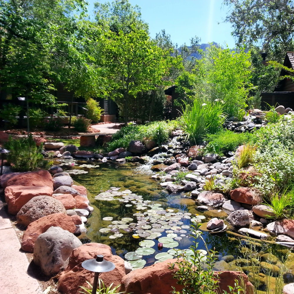 Lilly pond at L'Auberge de Sedona in Arizona