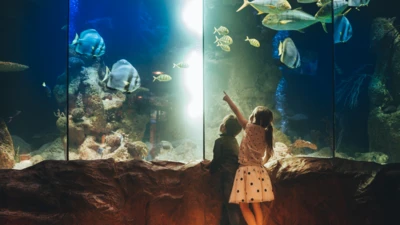 31 Things to do in Dallas with Kids - Trip Canvas - AAA
