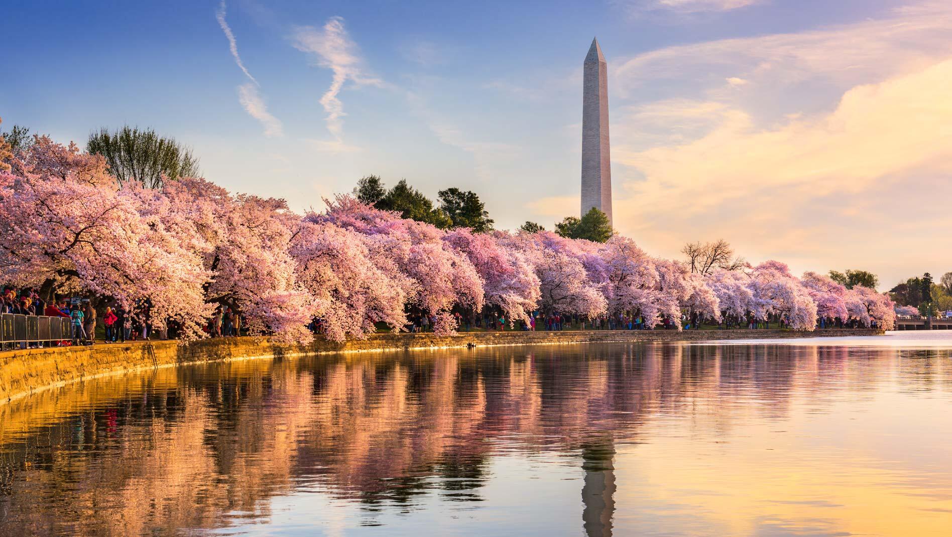 An exterior view of the National Gallery of Art