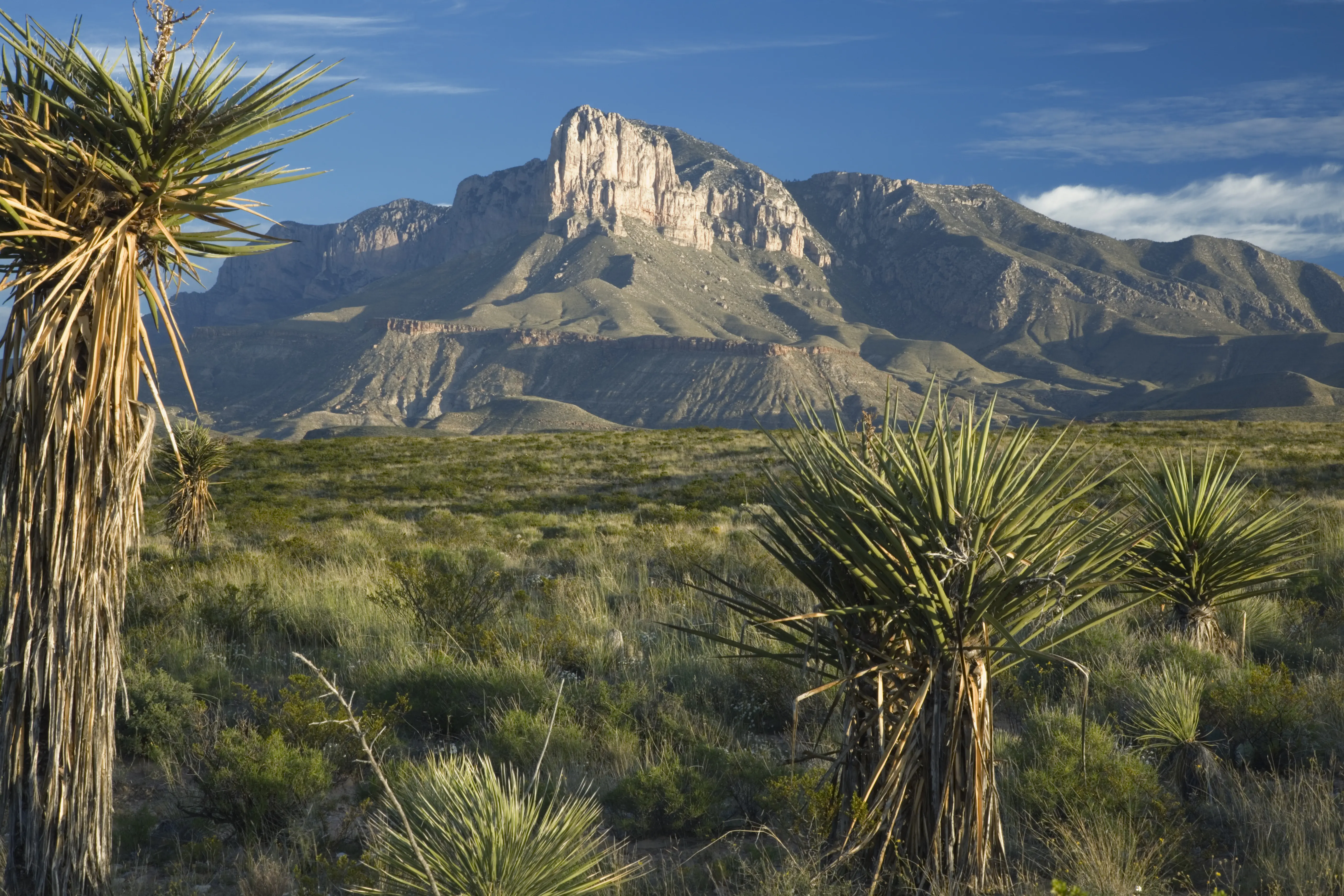 Guadalupe Peak and El Capitan