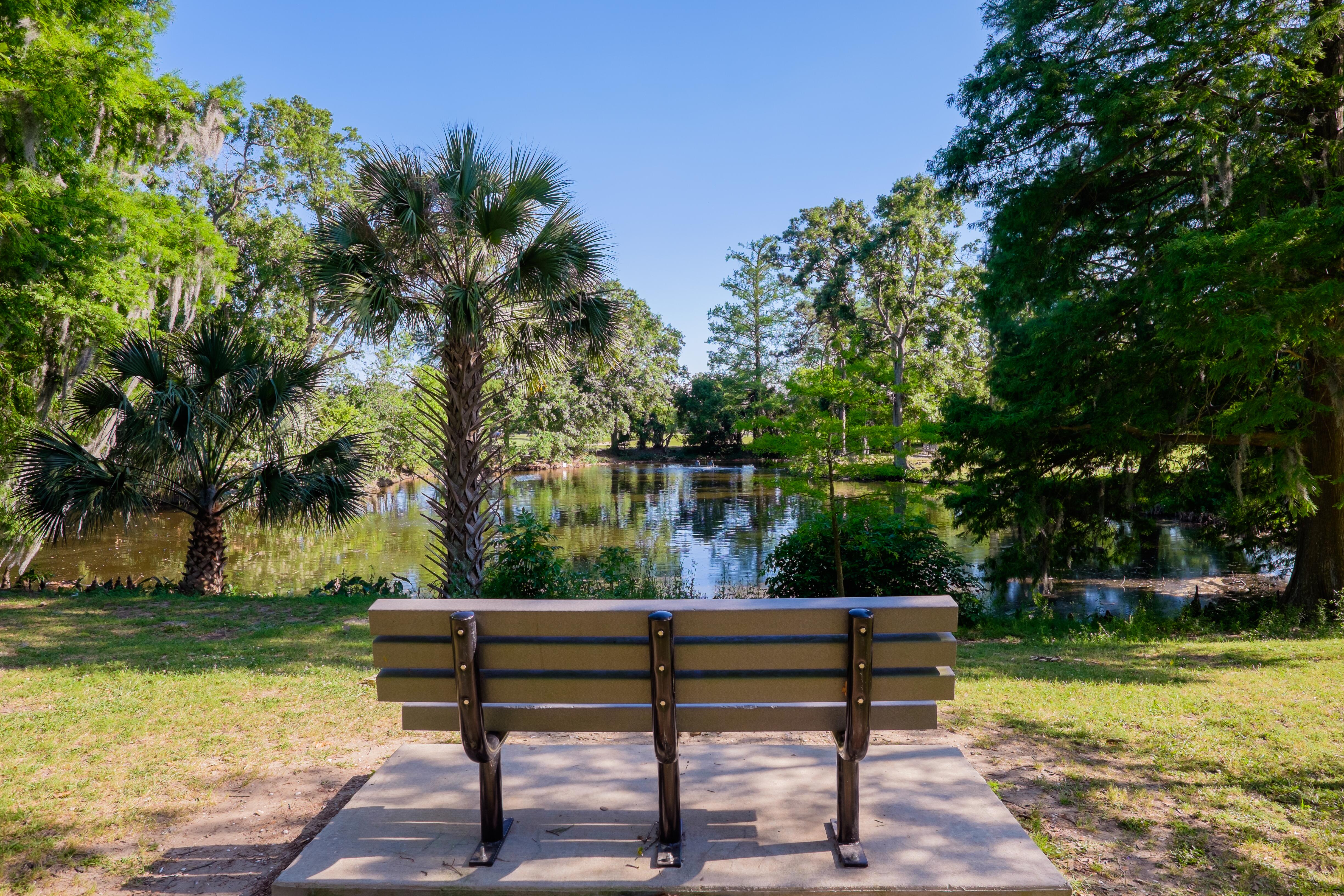 Bench at Audubon Park in New Orleans Louisiana