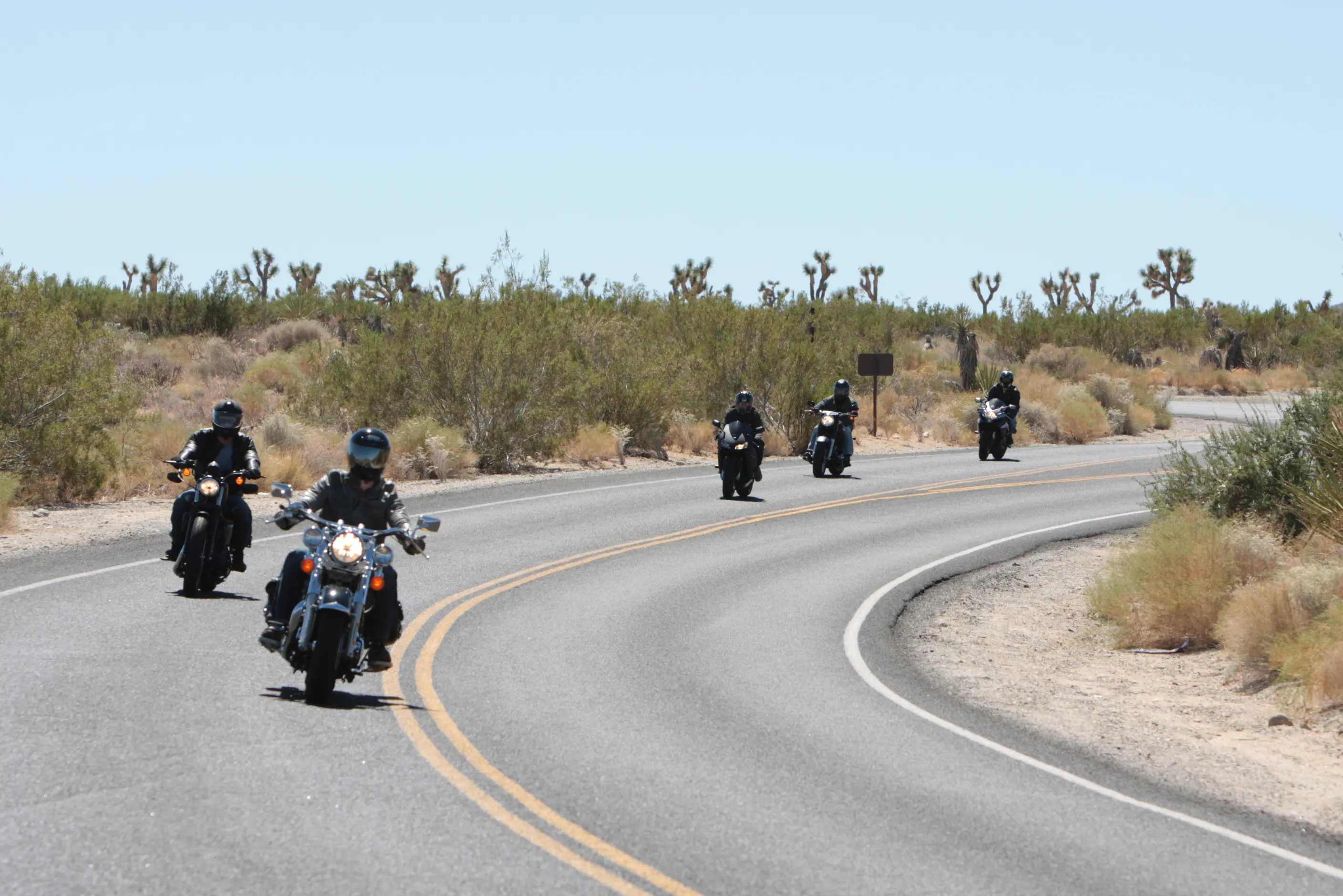 Image of motorbike riders traveling through Joshua Tree National Park.
