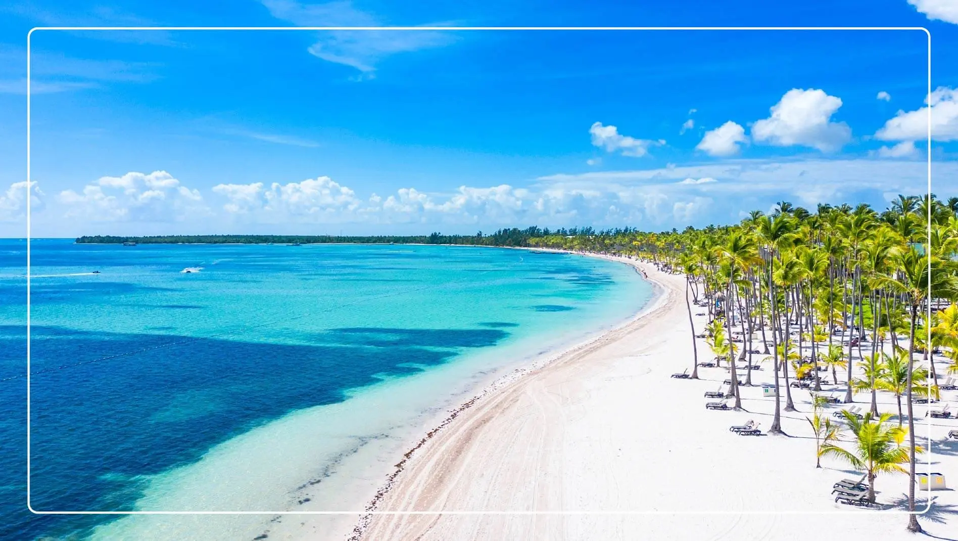 Palm trees on a beach in the Dominican Republic.