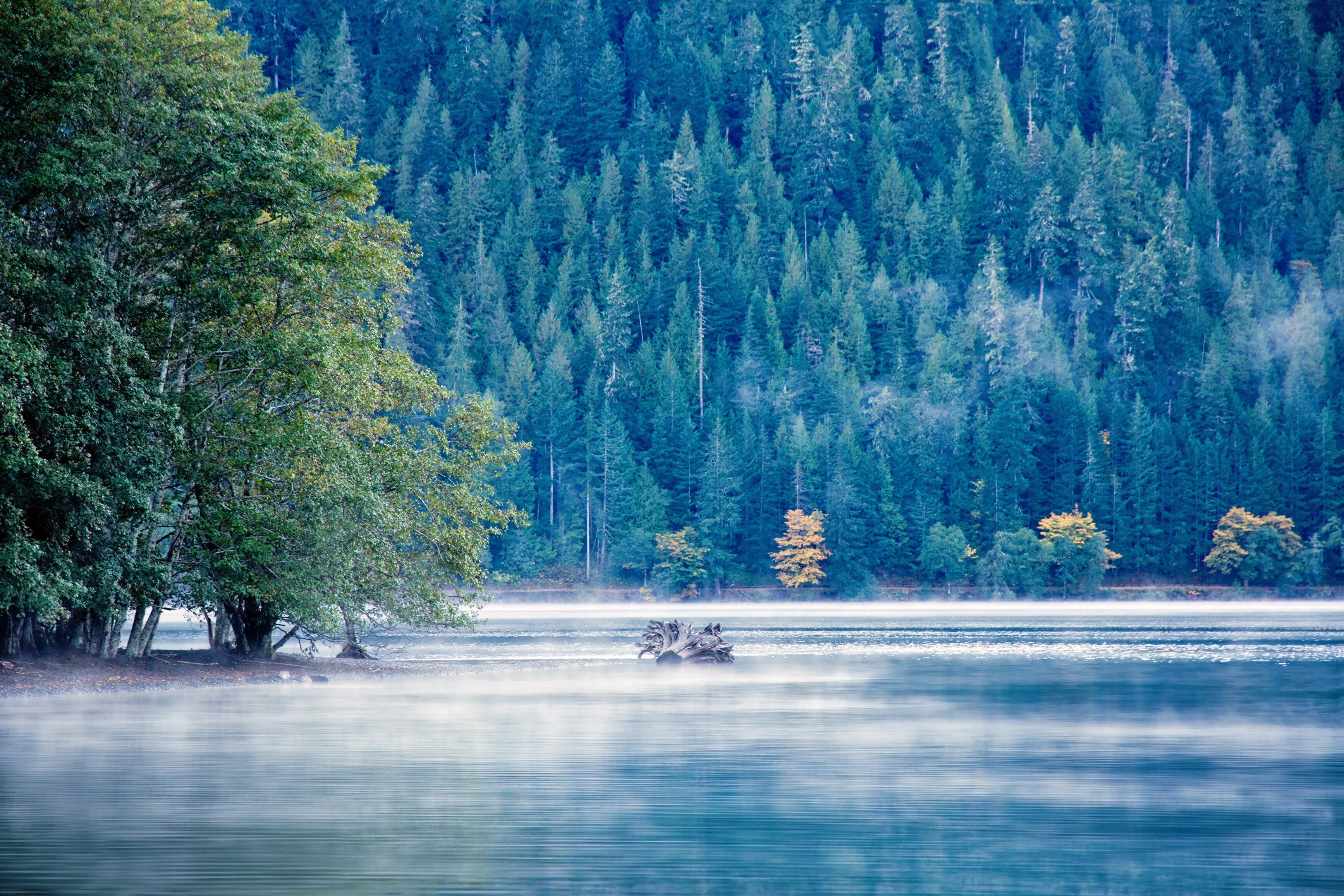 Pacific Coast Scenic Byway, Lake Crescent Area Road Trip