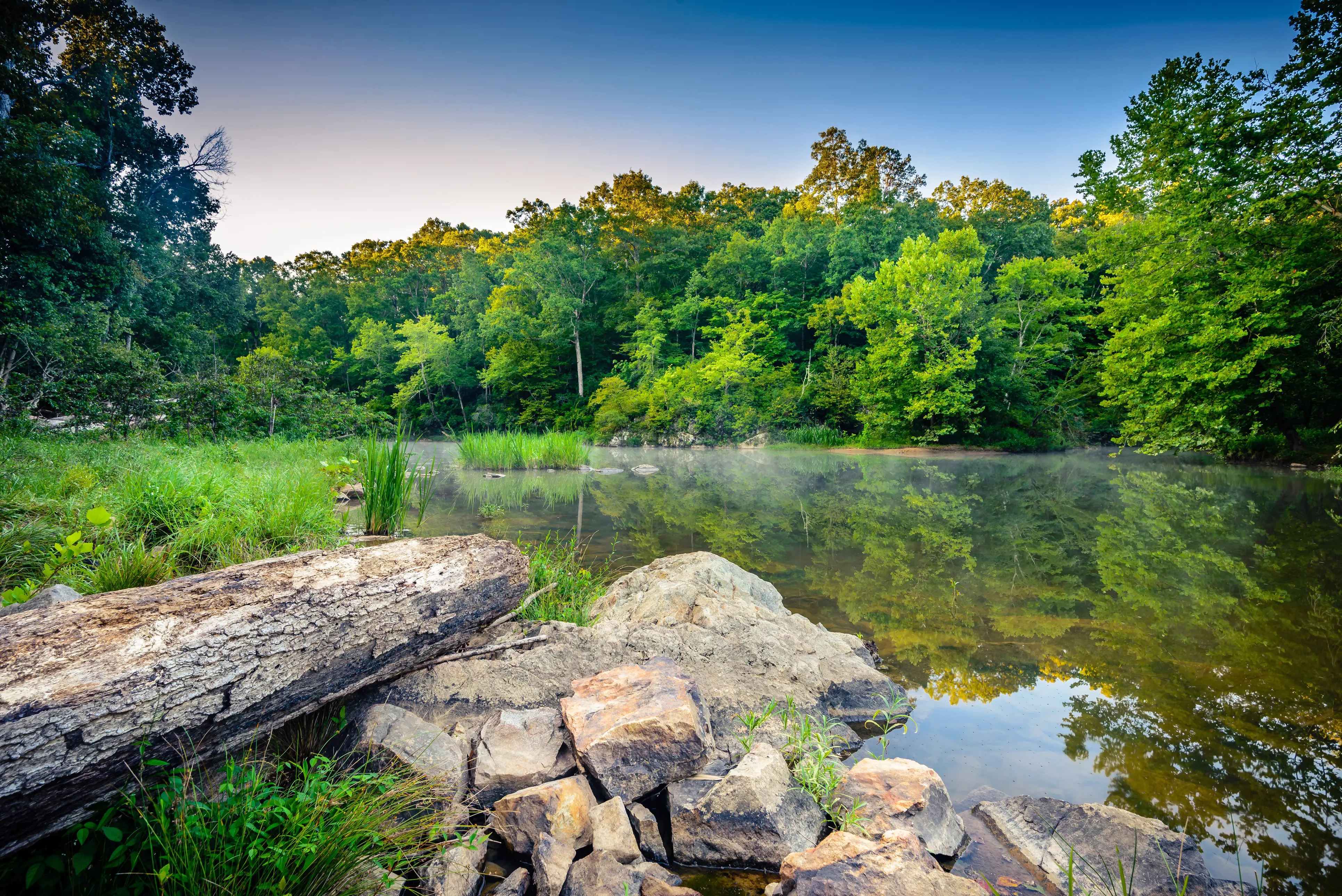 Driftwood and large rocks along the Eno River on a summer morning