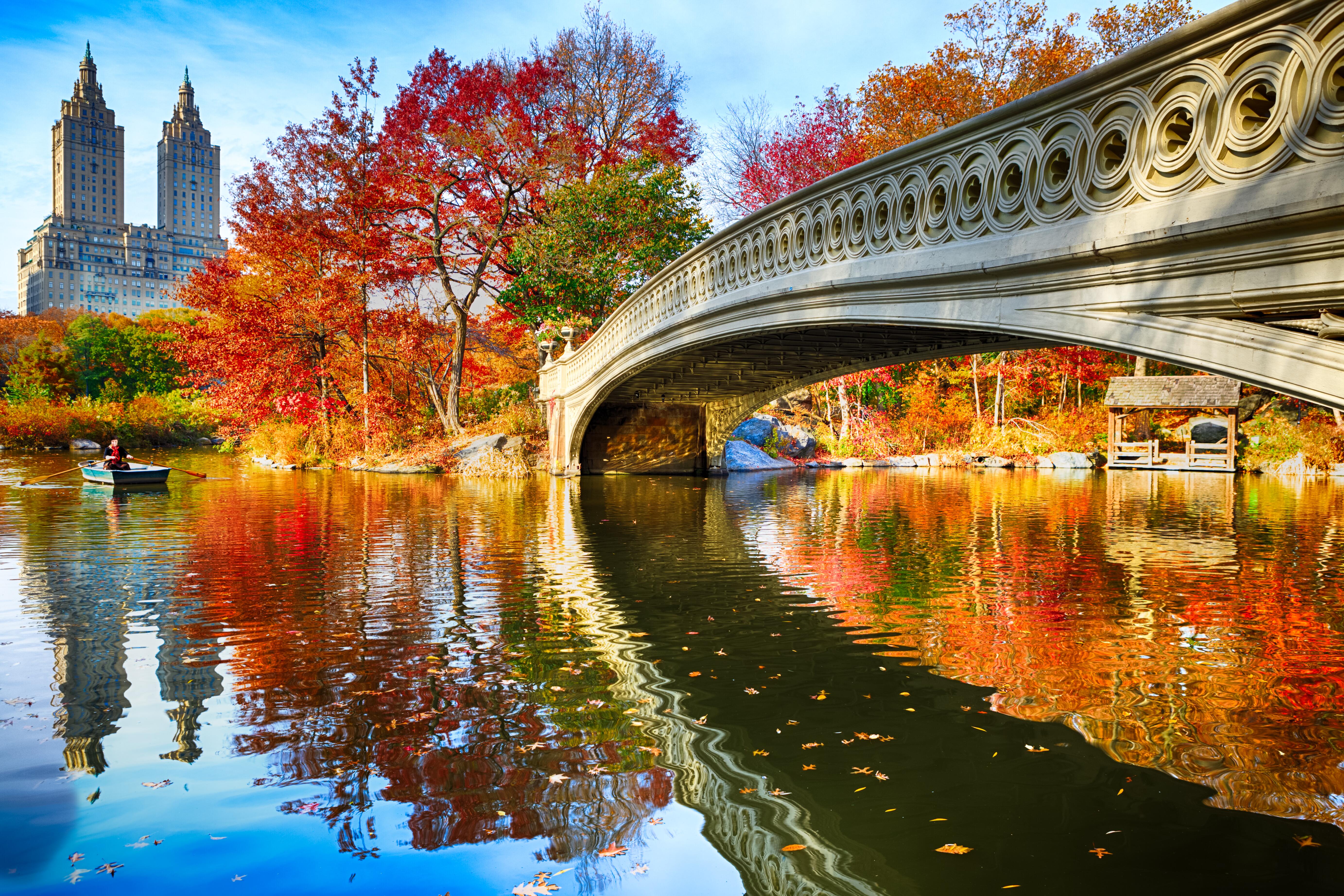 Bow Bridge and San Remo at autumn in Central Park and lady in row boat, New York City