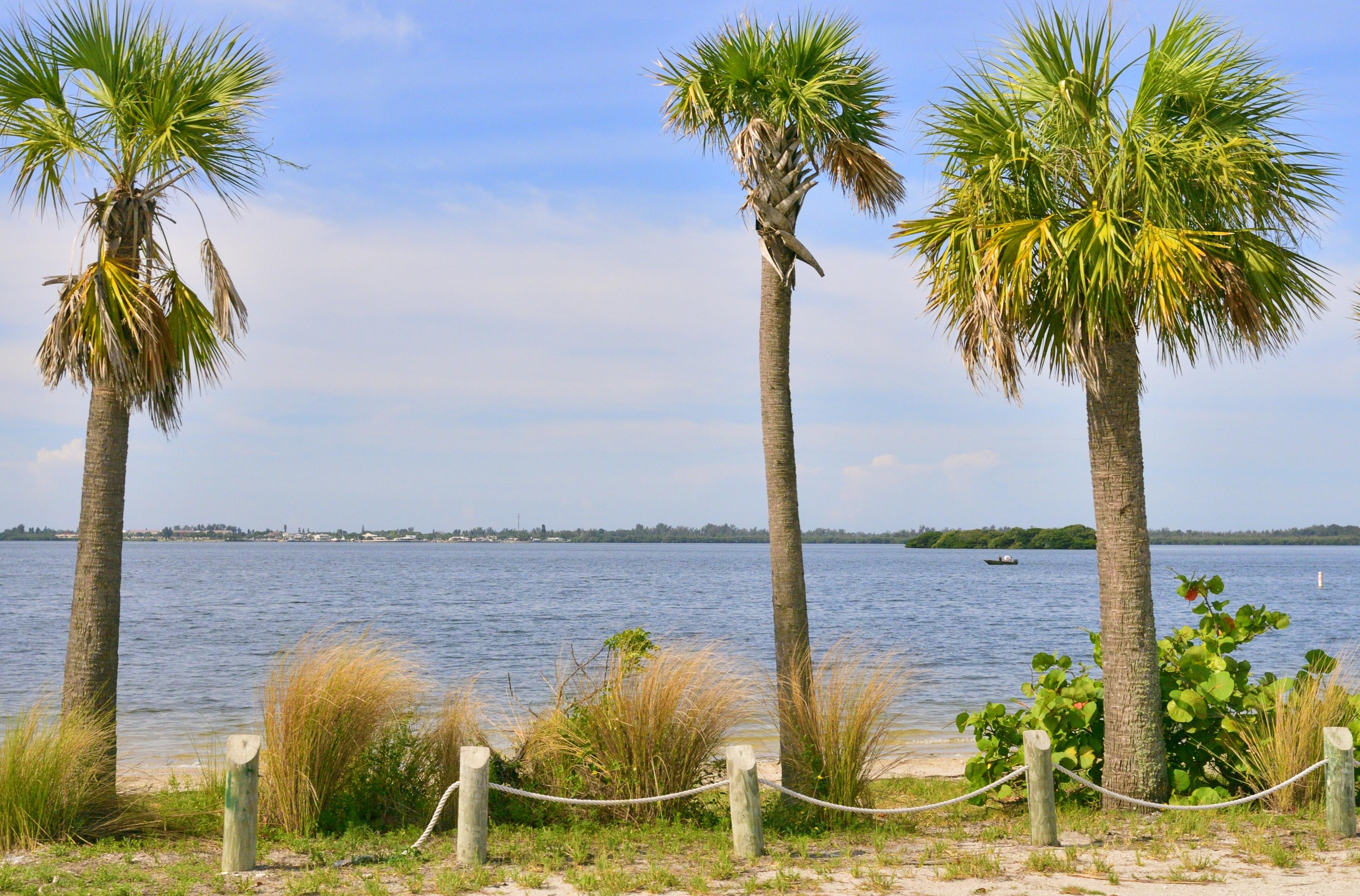 A tropical scene from Palma Sola Bay in Bradenton Florida, looks idyllic doesn't it?