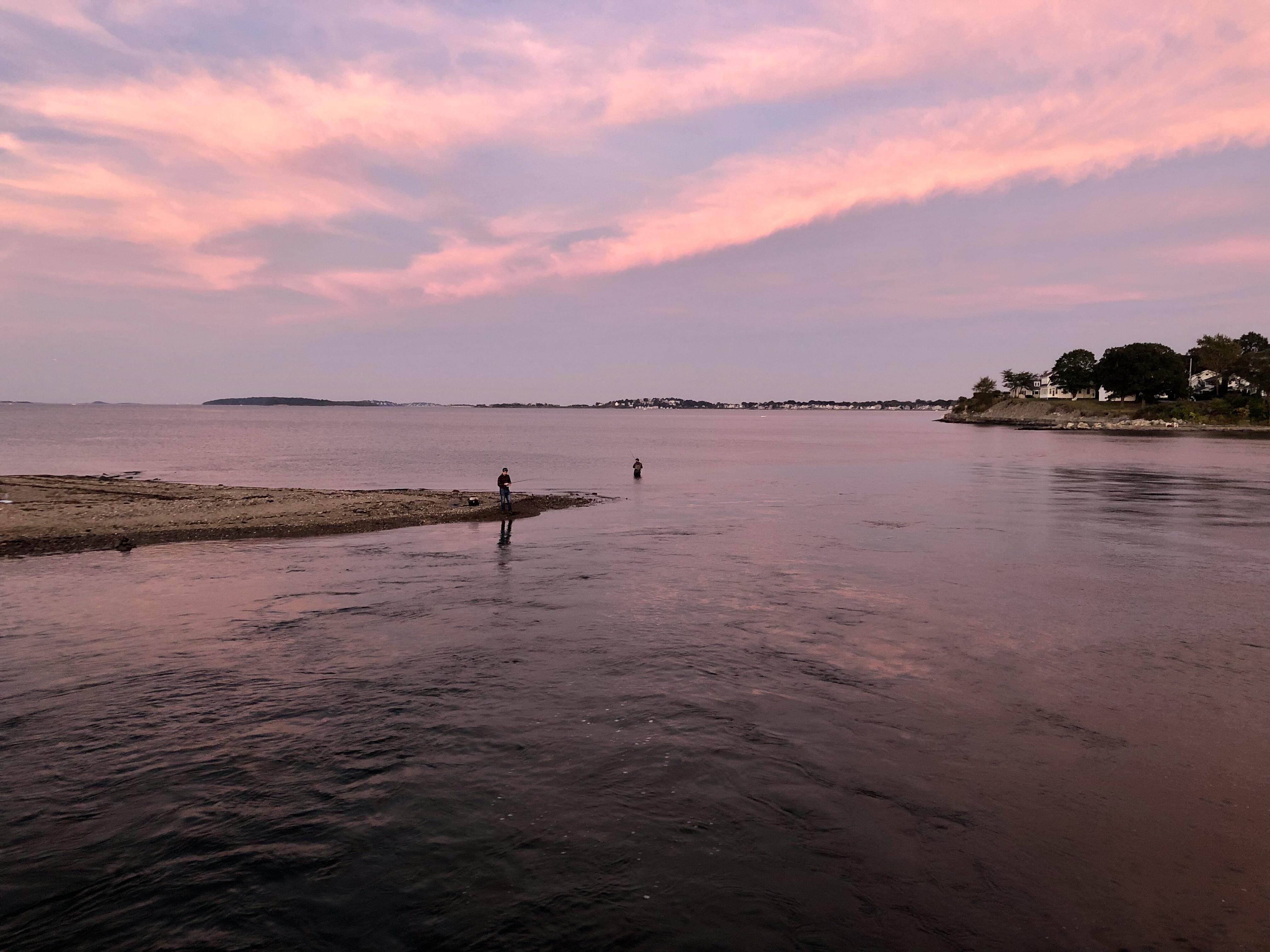 Outdoor image of the southern part of Wollaston Beach.