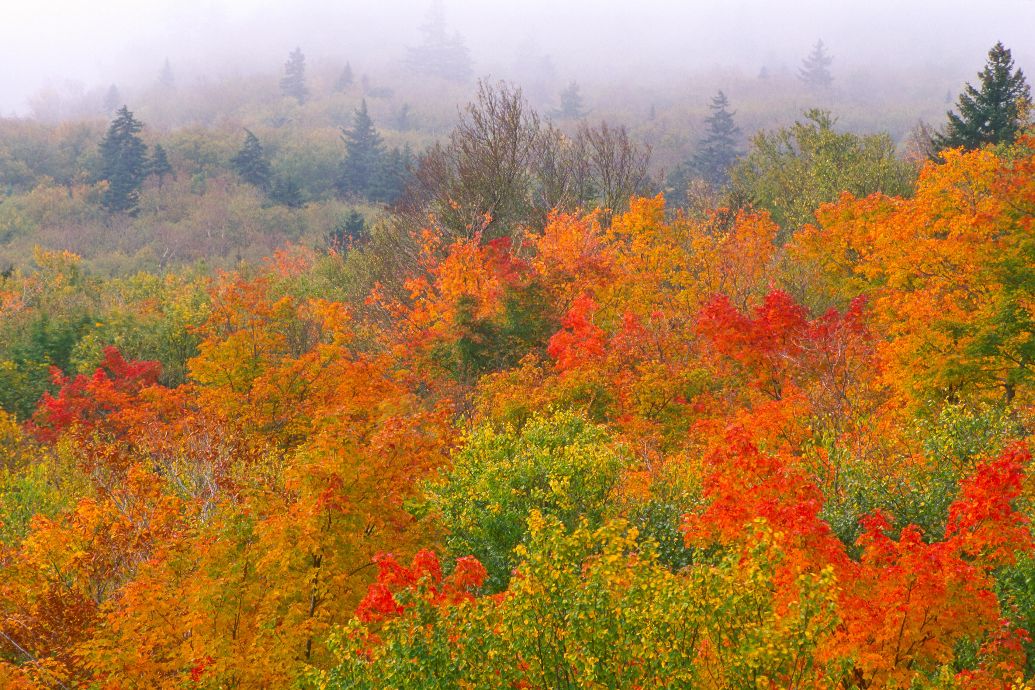 Vermont's Scenic Backcountry Route 116 Road Trip