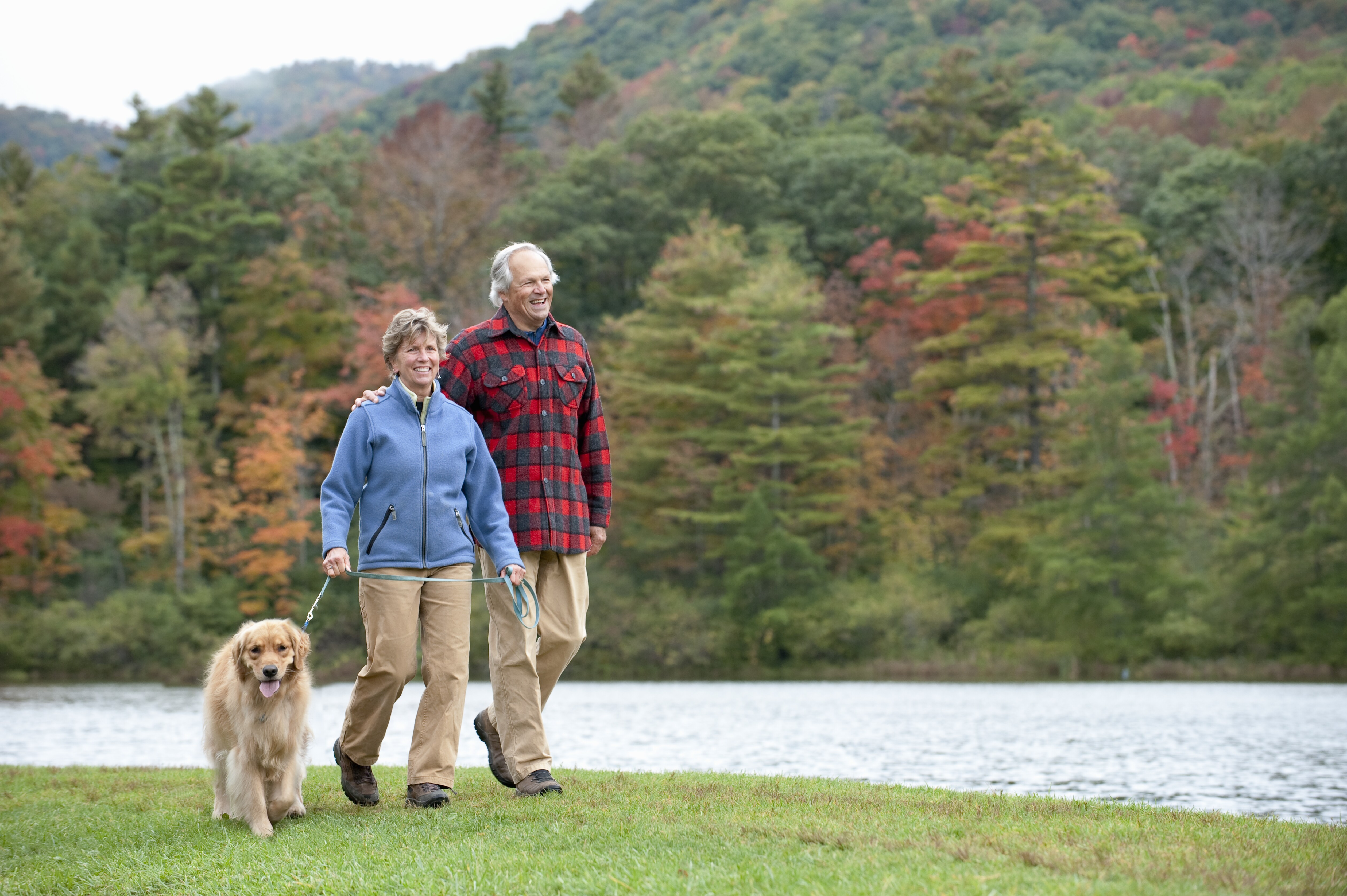 Image of an older couple walking their dog in the fall foliage of Manchester, Vermont.