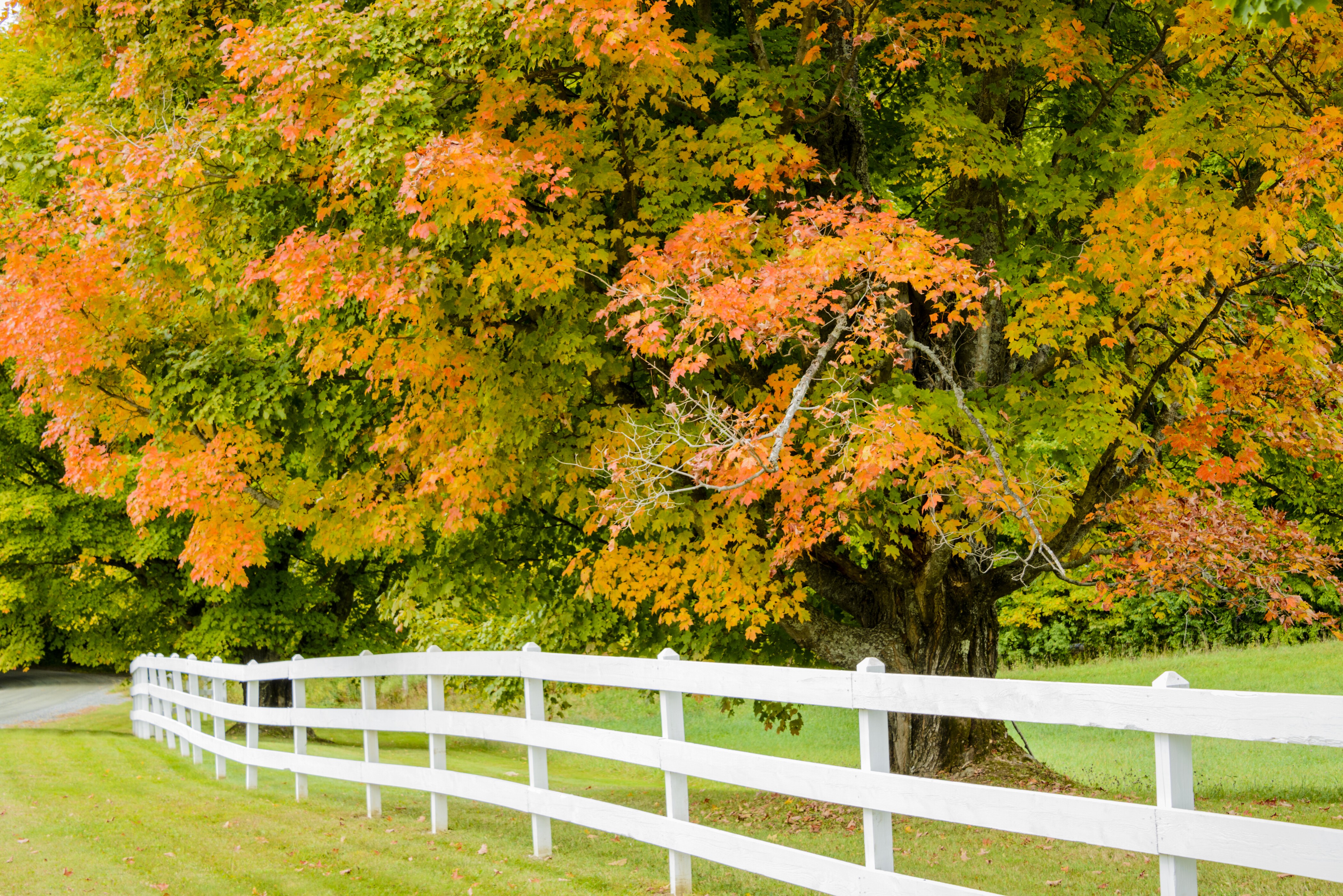 Drovers Trail Scenic Byway Road Trip