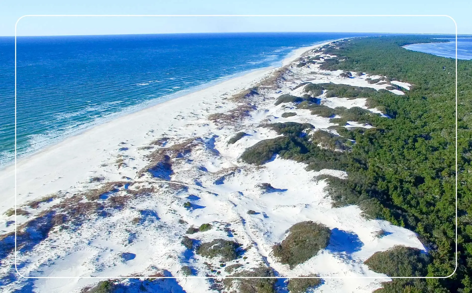 The coastline of Cape San Blas.