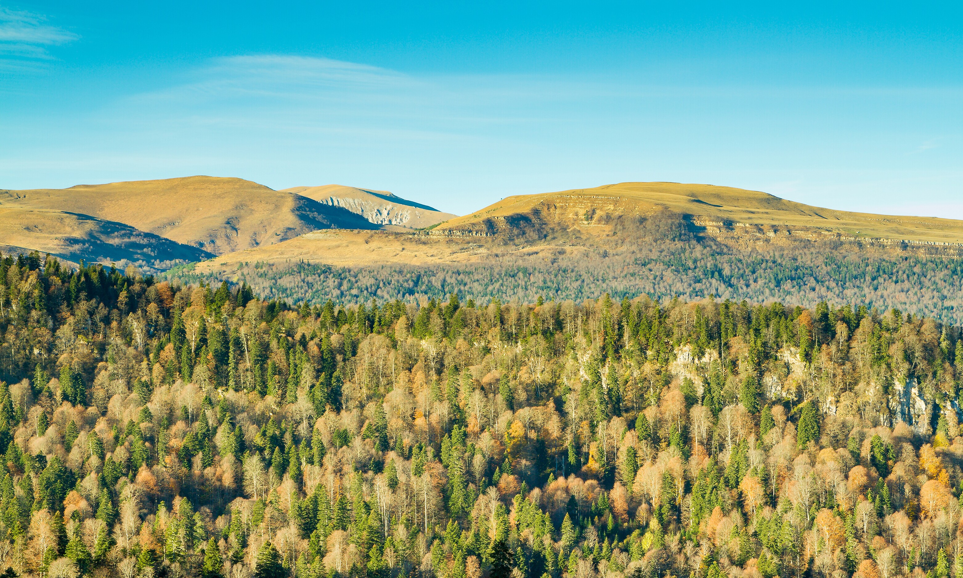 Eccles Canyon Scenic Byway Road Trip