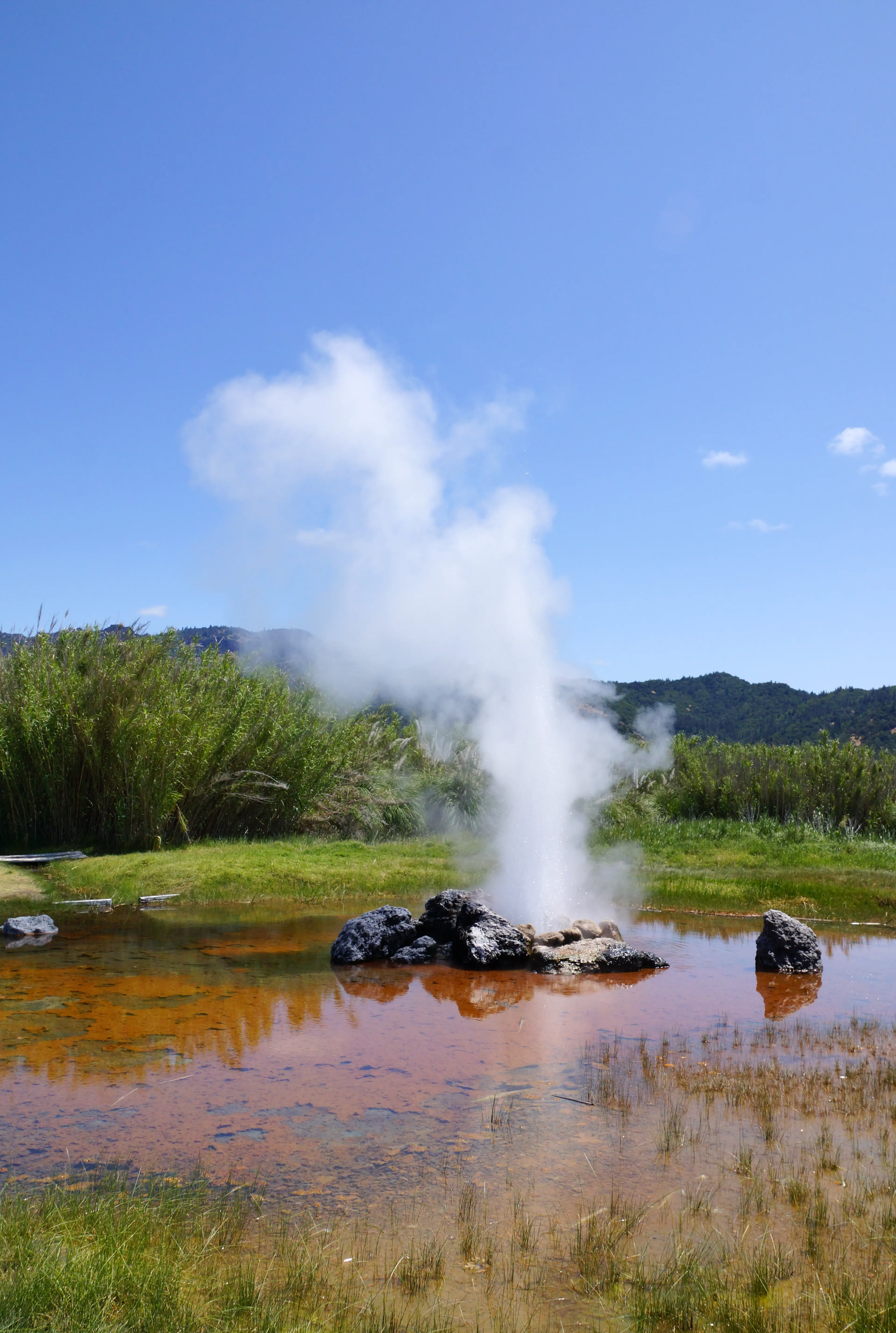 Image of Old Faithful geyser in Calistoga, California.