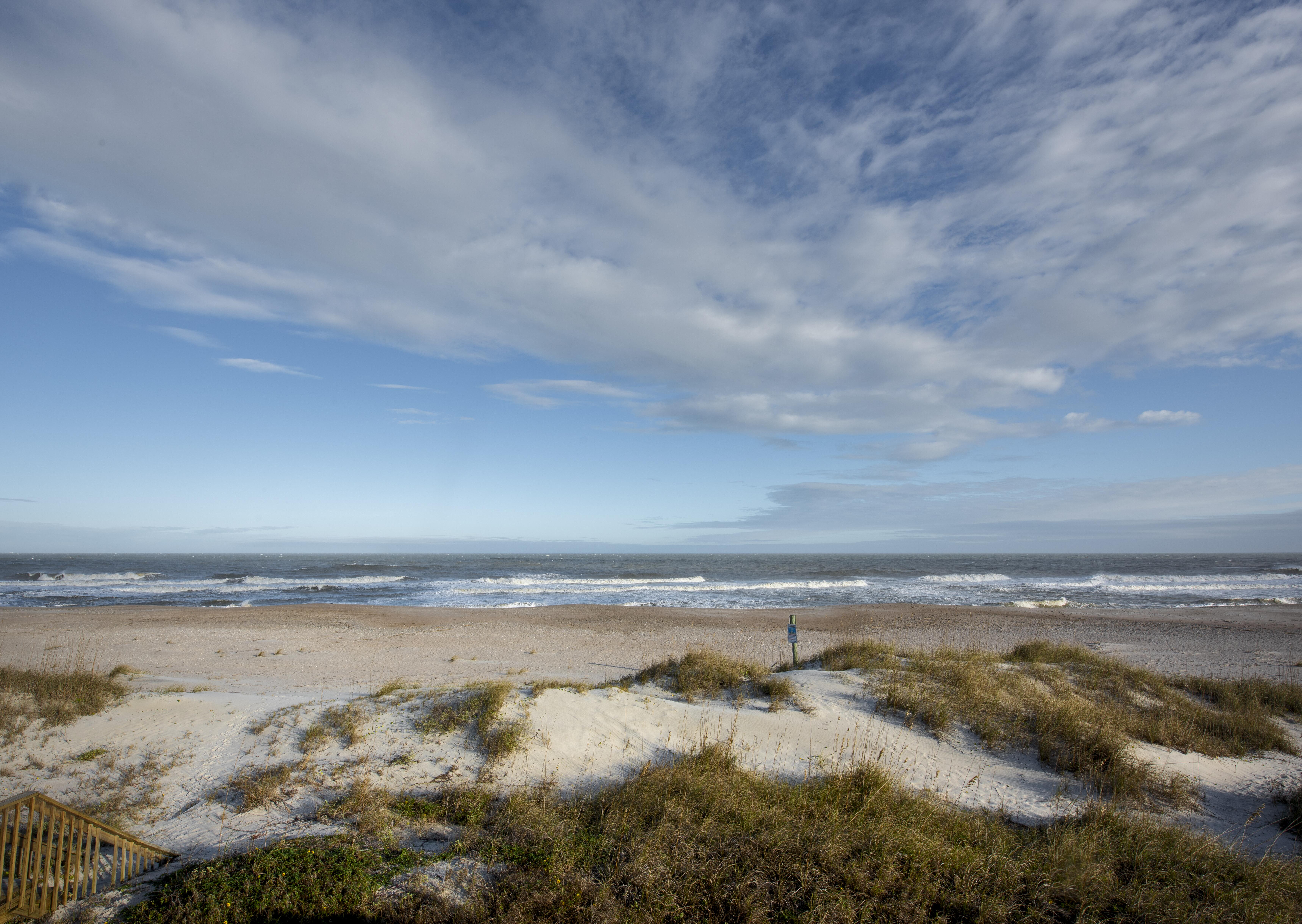 Outdoor picture of Amelia Island State Park near Jacksonville, Florida