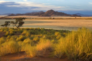 The Plains Of Africa