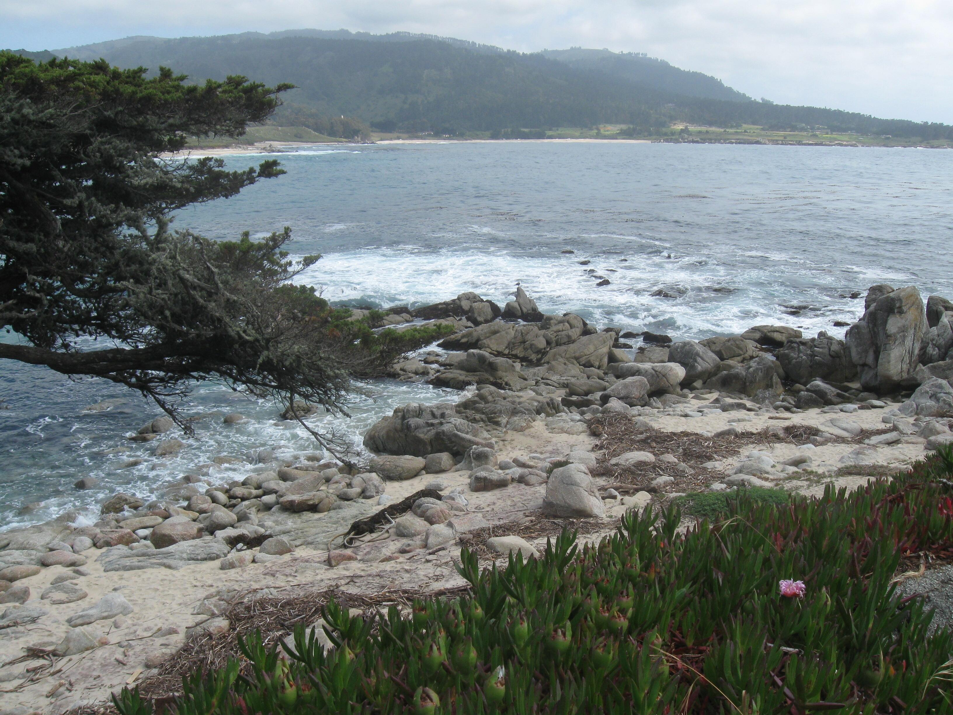 Pacific Coast Highway Drive Trip 563909  Carmel-by-the-Sea