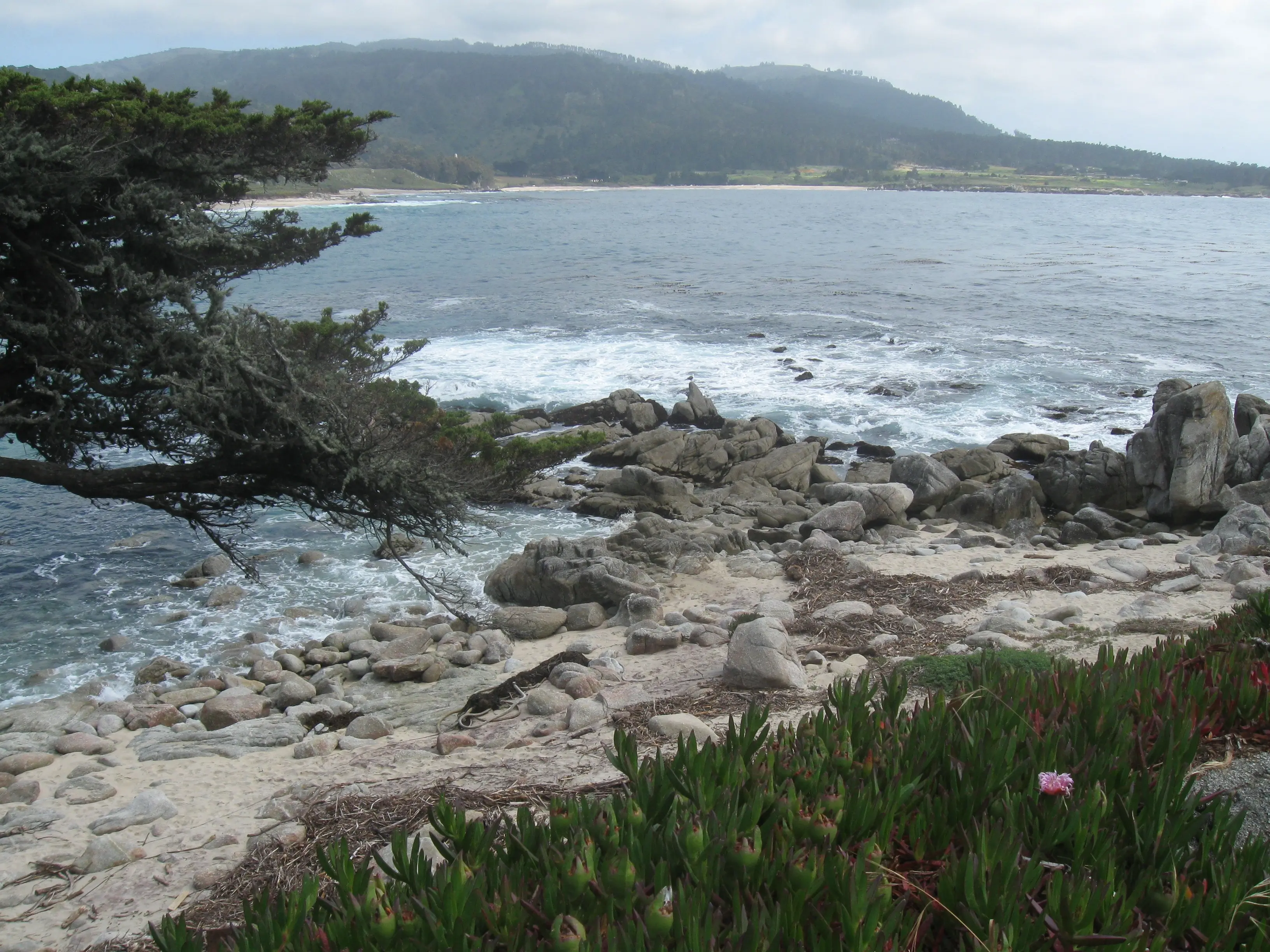 Pacific Coast Highway Drive Trip 563909  Carmel-by-the-Sea