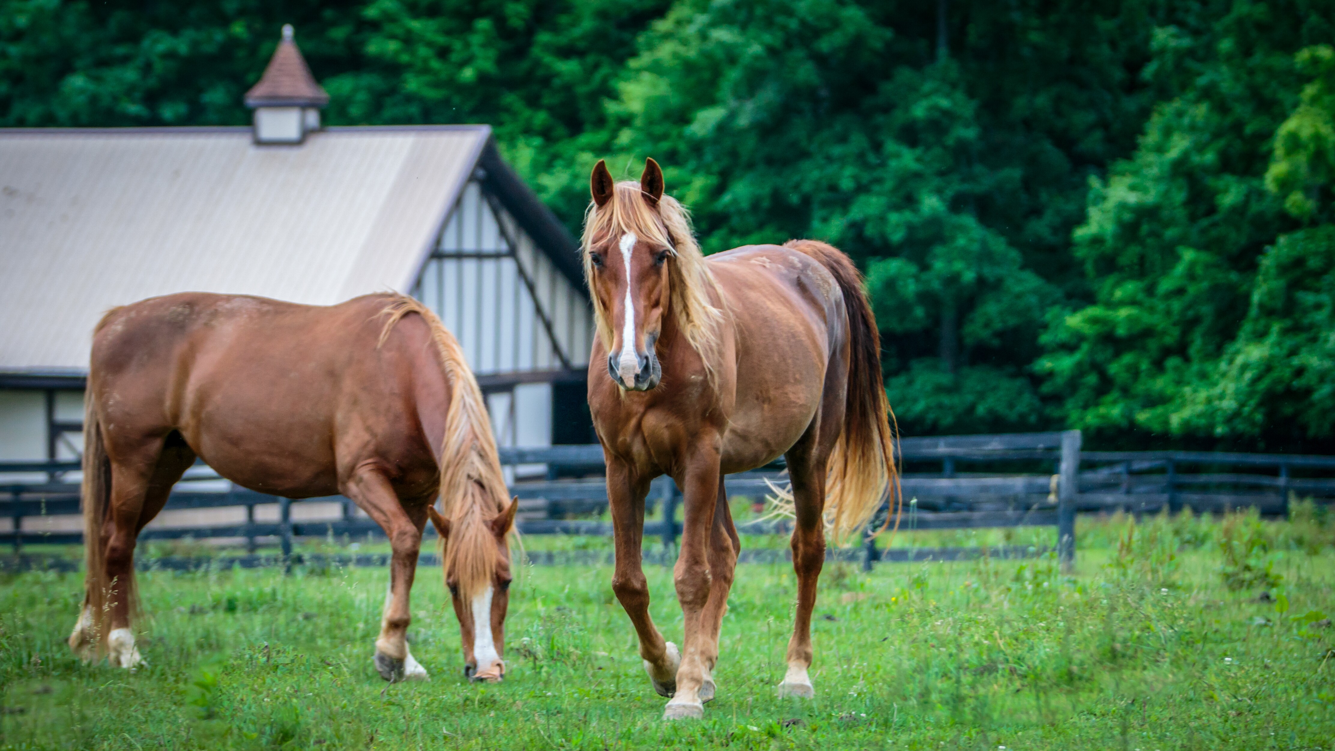 Paris Pike Scenic Highway Road Trip