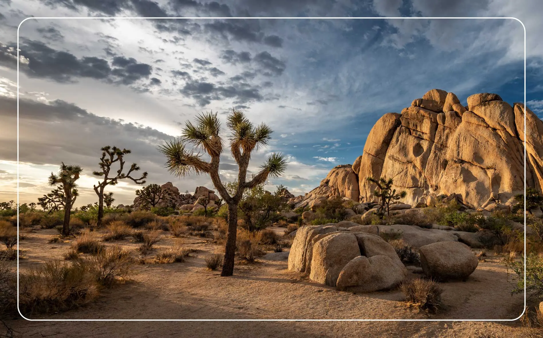 Desert landscape with rock formations, Joshua trees and a cloudy sky in Joshua Tree National Park.