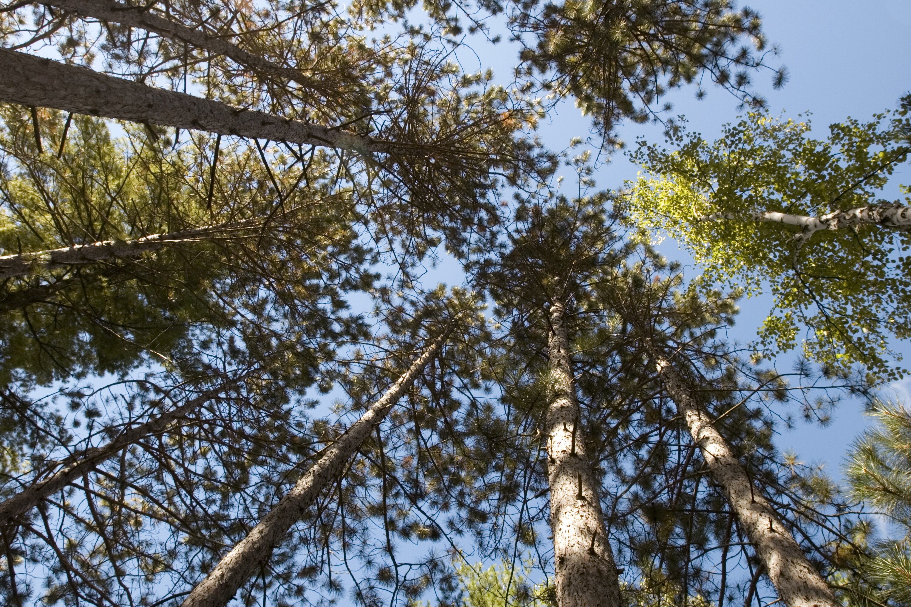 Frontier Scenic Route, Nipigon to Longlac Road Trip