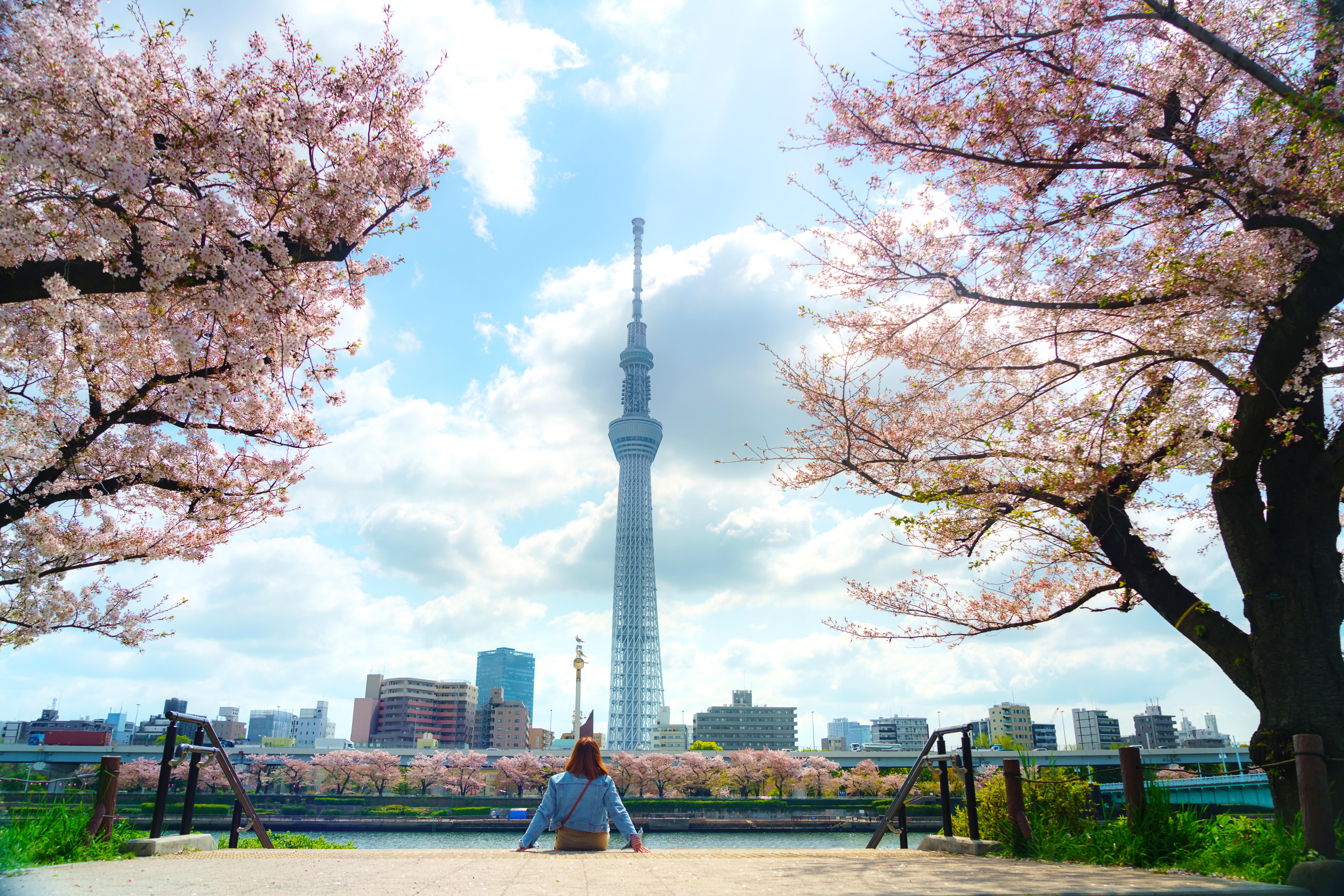 Woman looking at Tokyo Skytree from Sumida Park