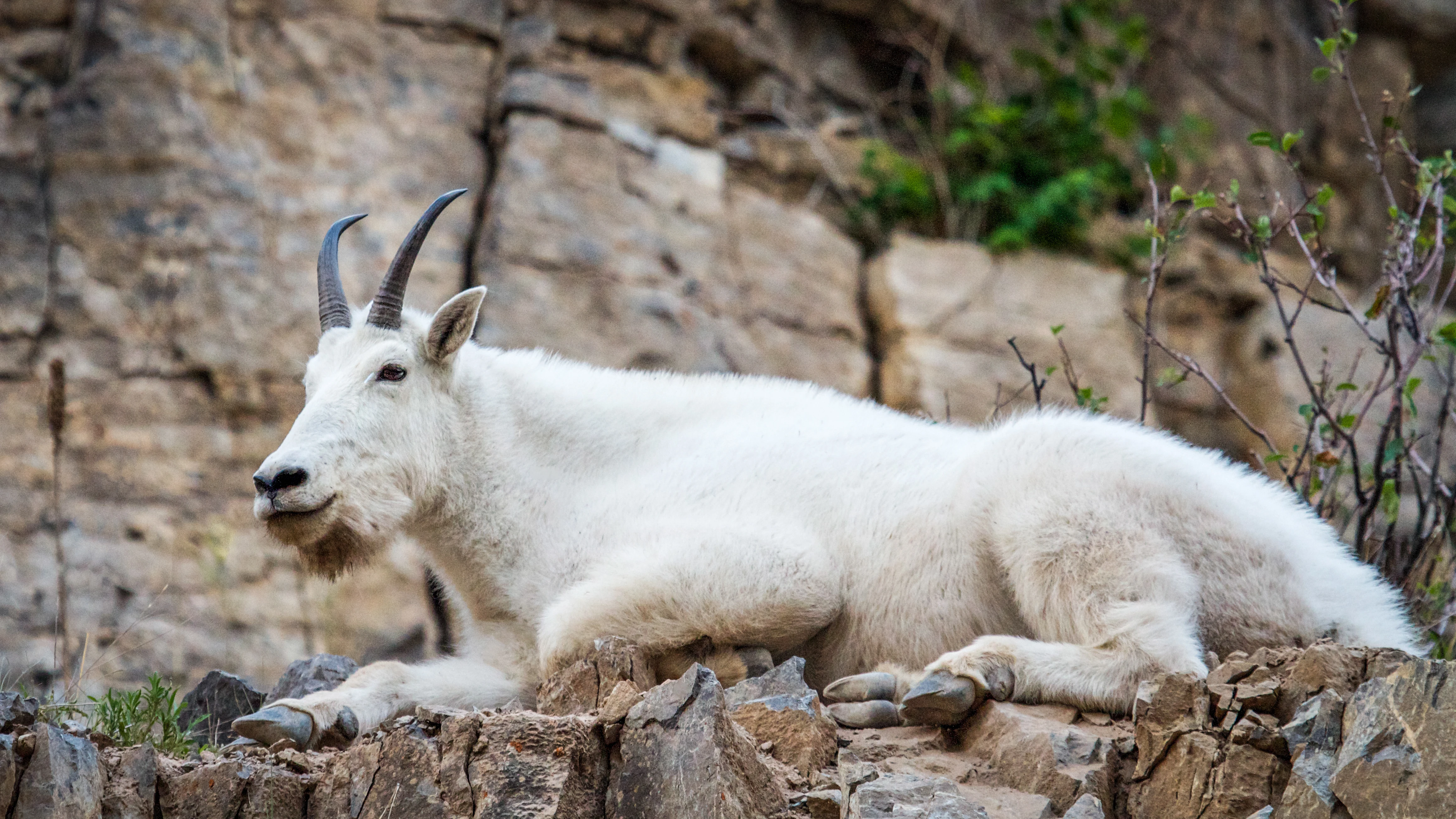 Chief Joseph Scenic Highway Road Trip