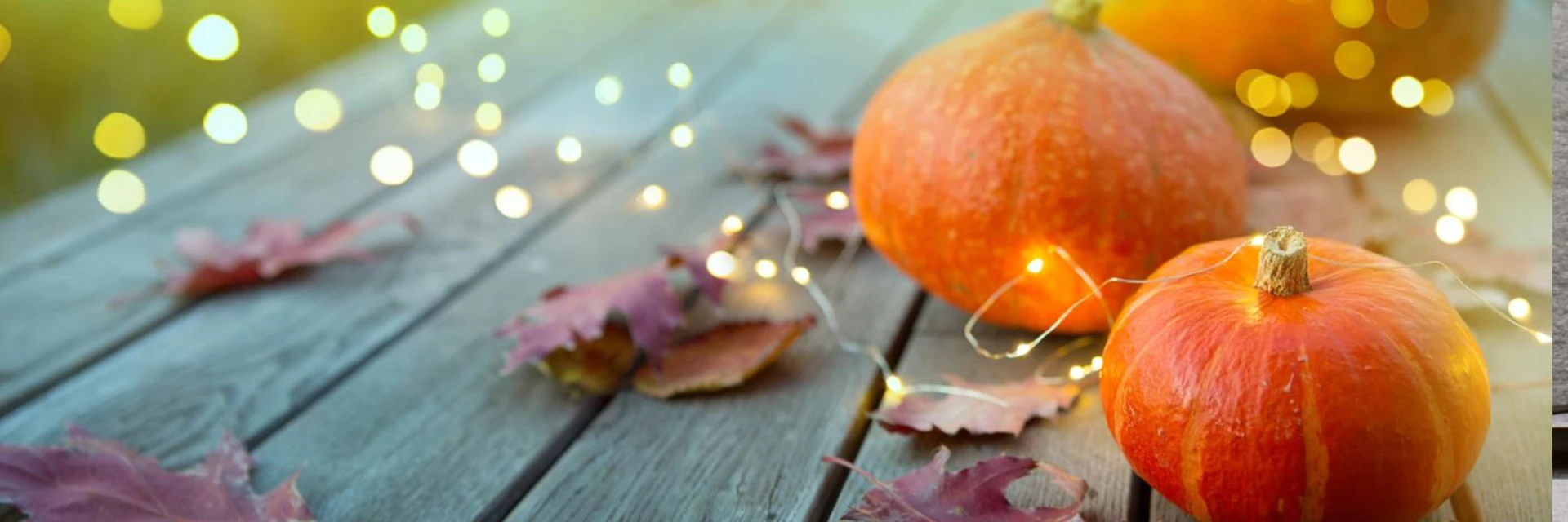 SCORE GREAT DEALS ON FALL DÉCOR, FESTIVALS SWEET TREATS AND MORE