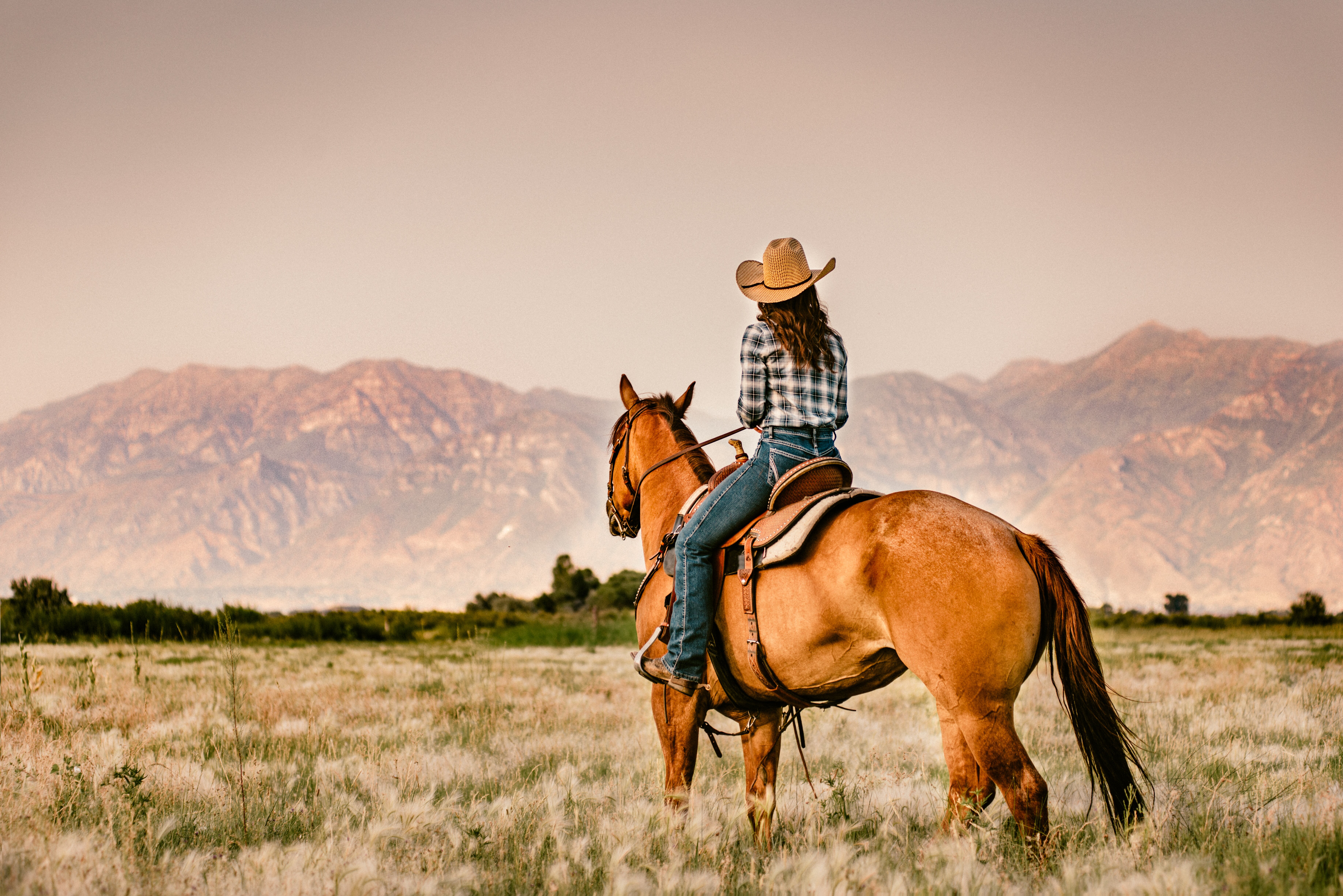 cowgirl horseback riding in a prairie with backdrop of mountains