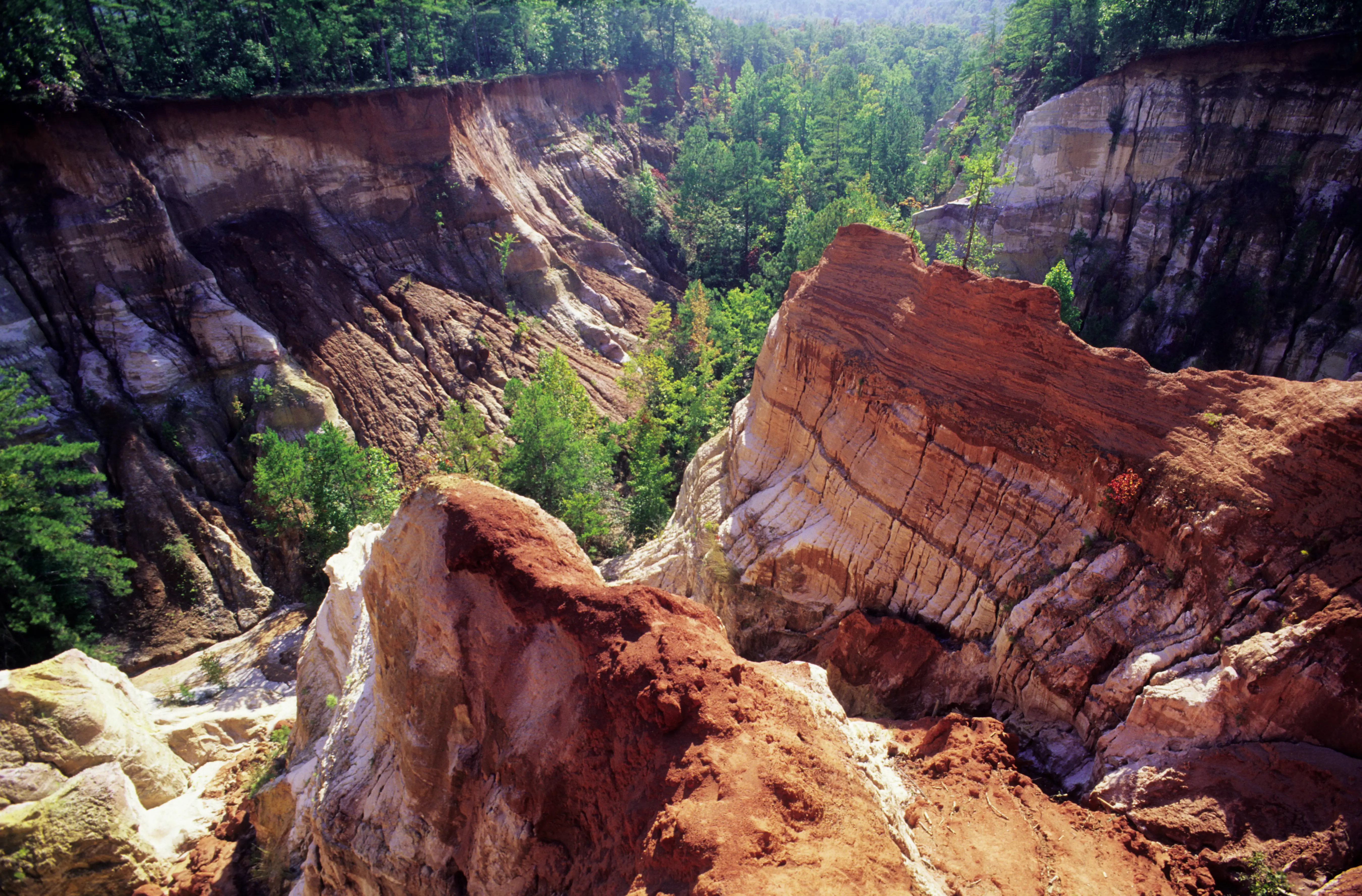 Outdoor image of the landscape scenery of Providence Canyon State Park