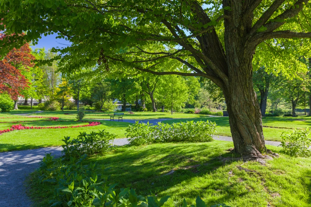 Public Gardens in Halifax Nova Scotia