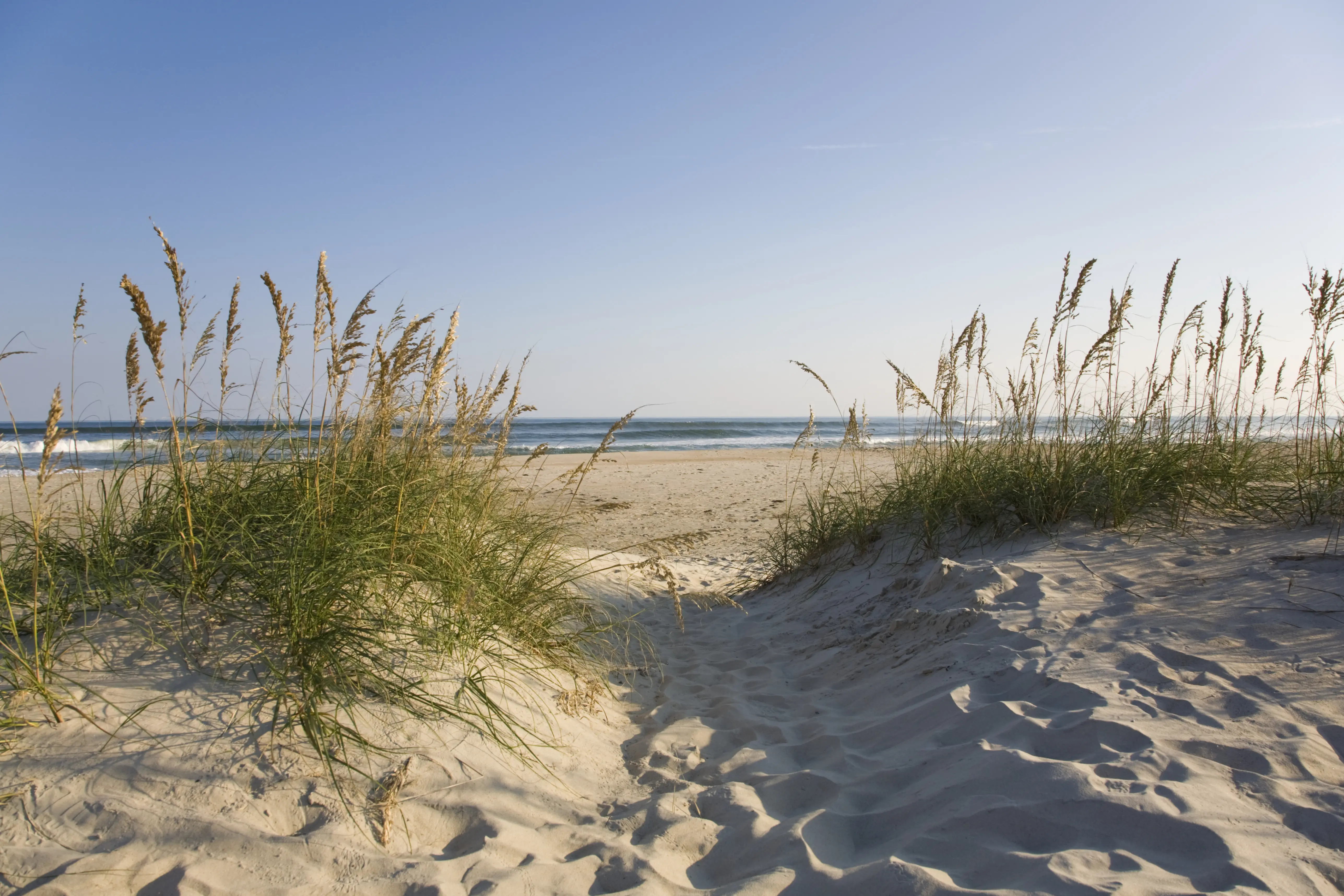 Image of sand dunes with the ocean in the background, Ocracoke, North Carolina