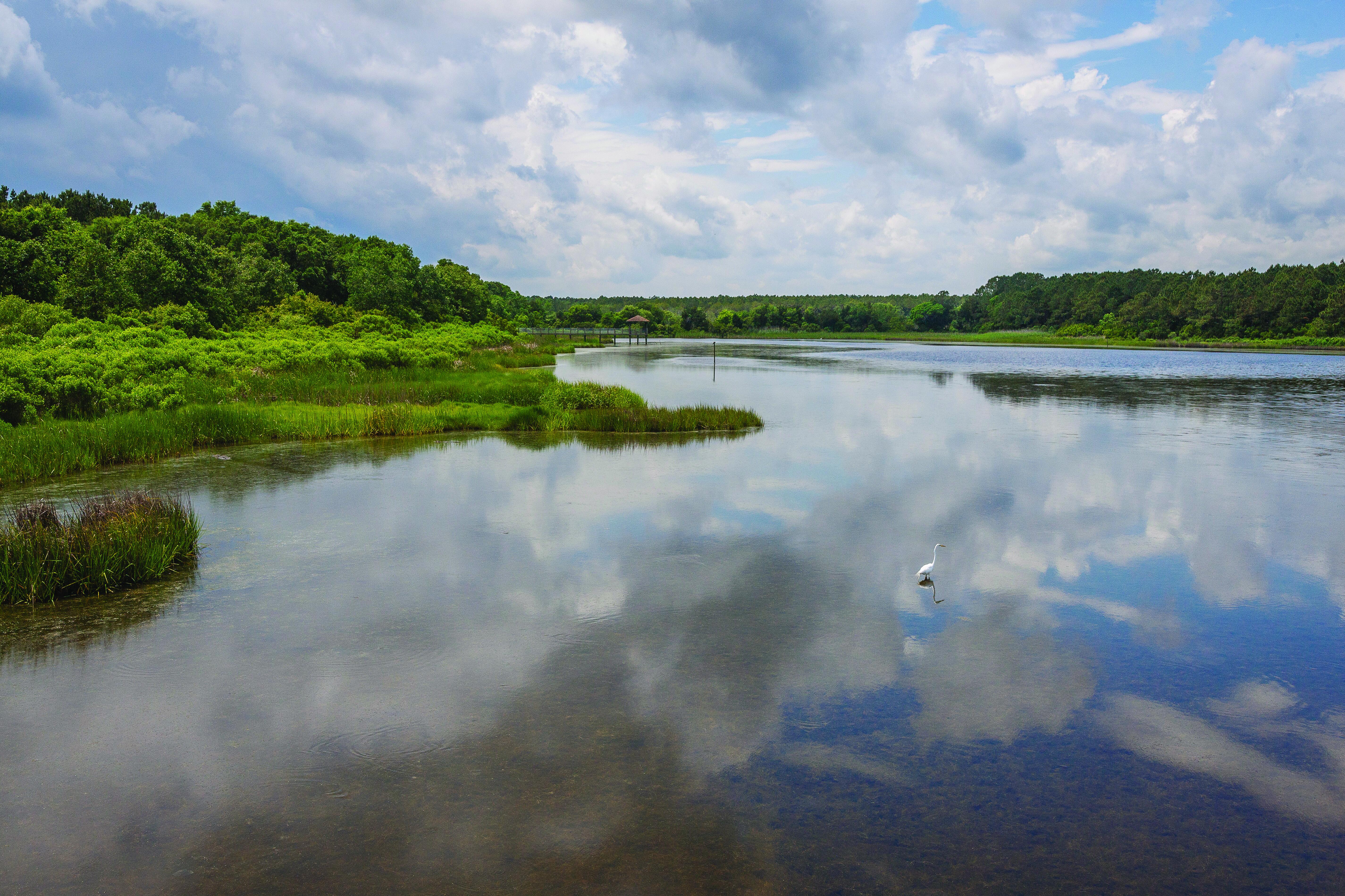 Huntington Beach State Park