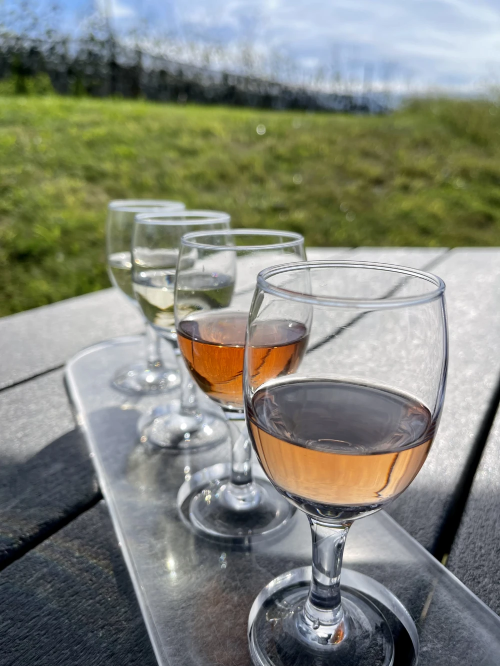 Virginia wine country photos from Jennifer Broome Boxwood Estate