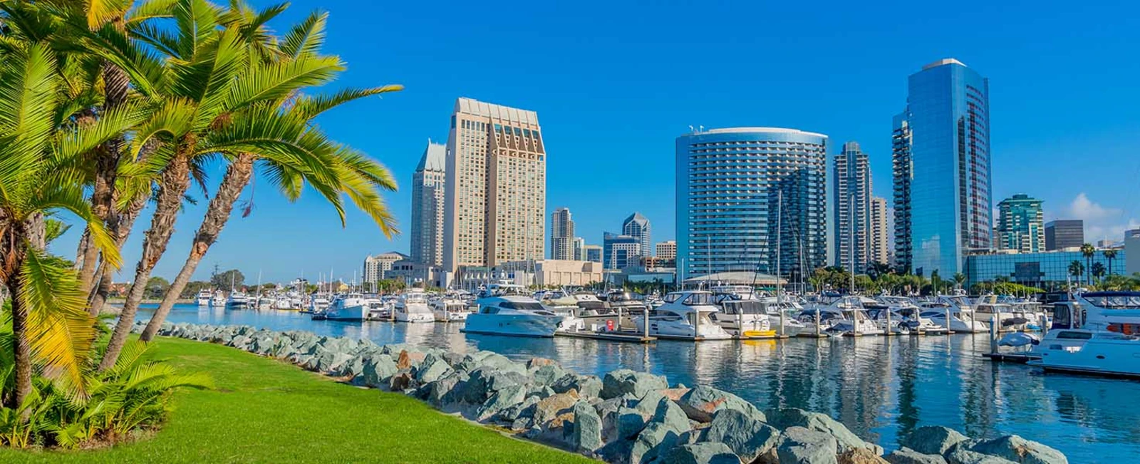 67 Things To Do in San Diego When You Visit in 2023 - Trip Canvas