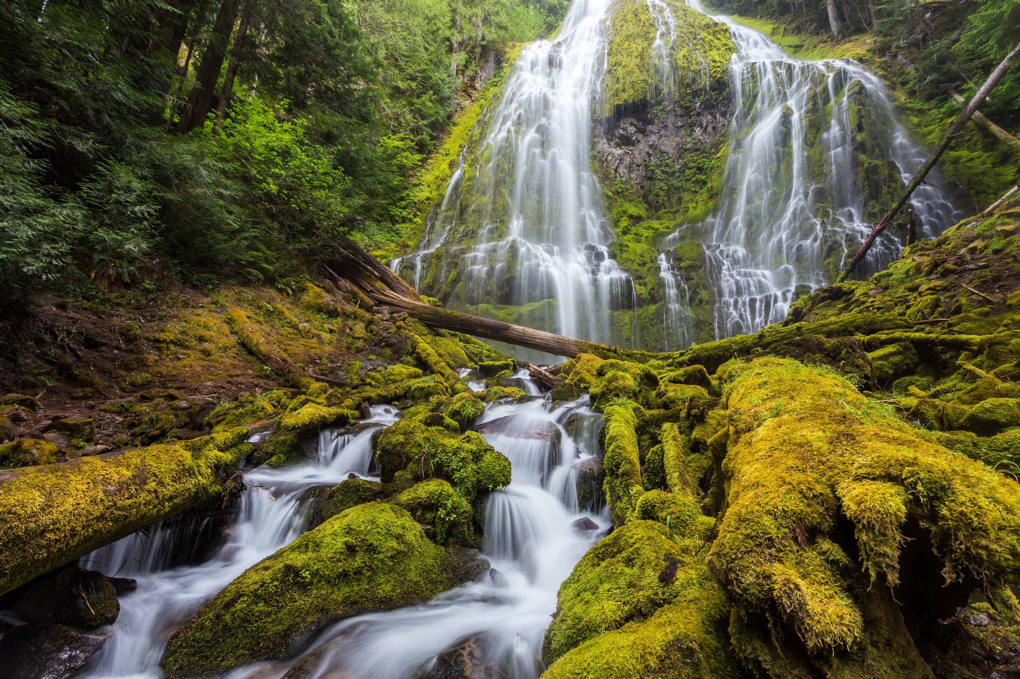 McKenzie-Santiam Pass Scenic Loop, Route 242 Road Trip