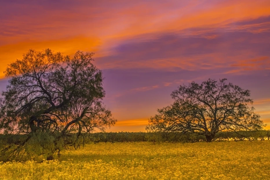 Getty Images / Anne Strickland Fine Art Photography