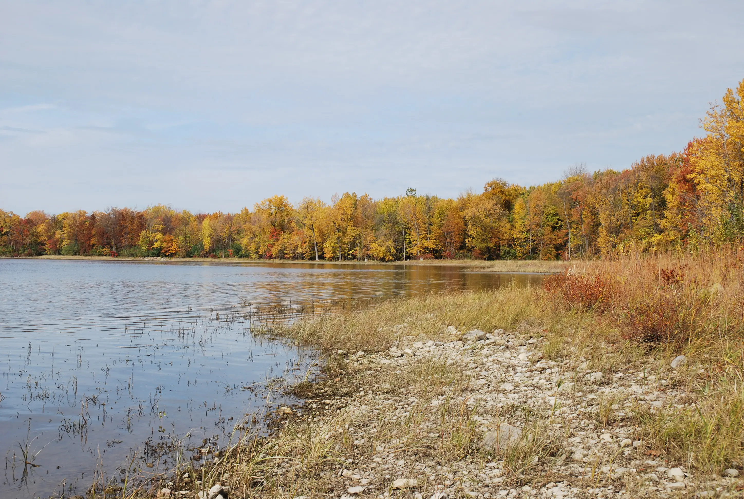 Image of the  wilderness and scenery of Parc-nature du Cap Saint Jacques on the Island of Montréal.
