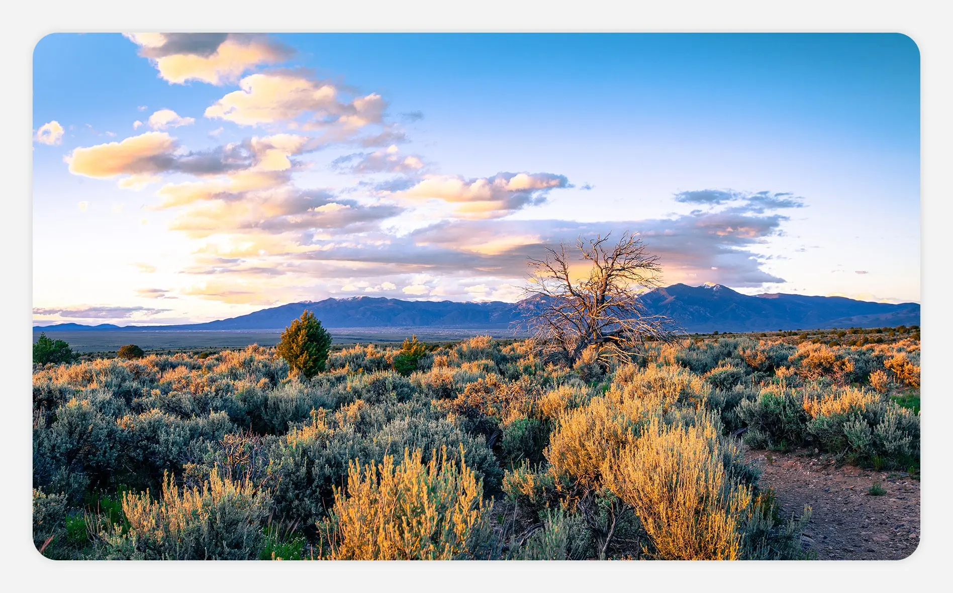 Desert scenery of Taos