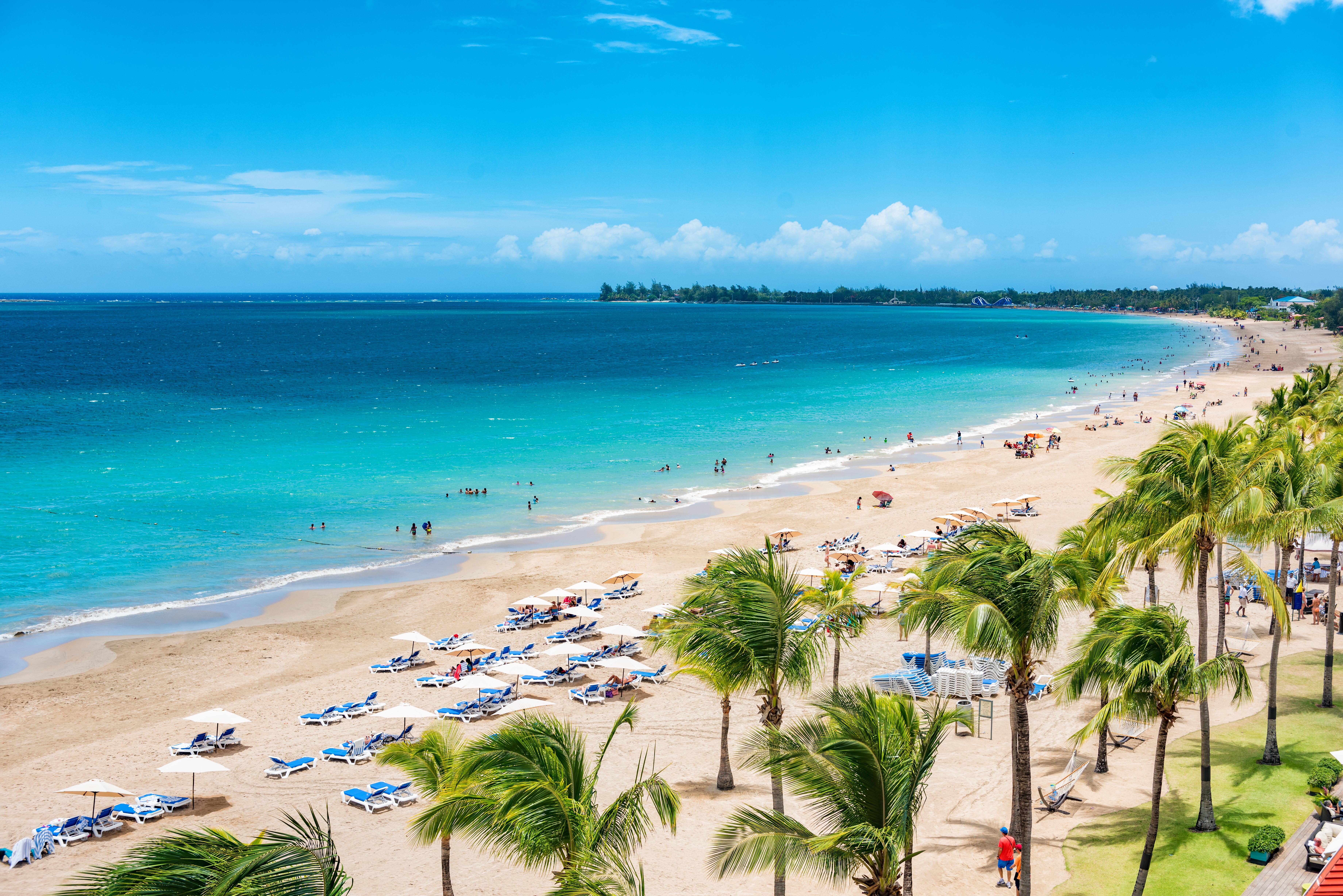 San Juan beach and palm trees