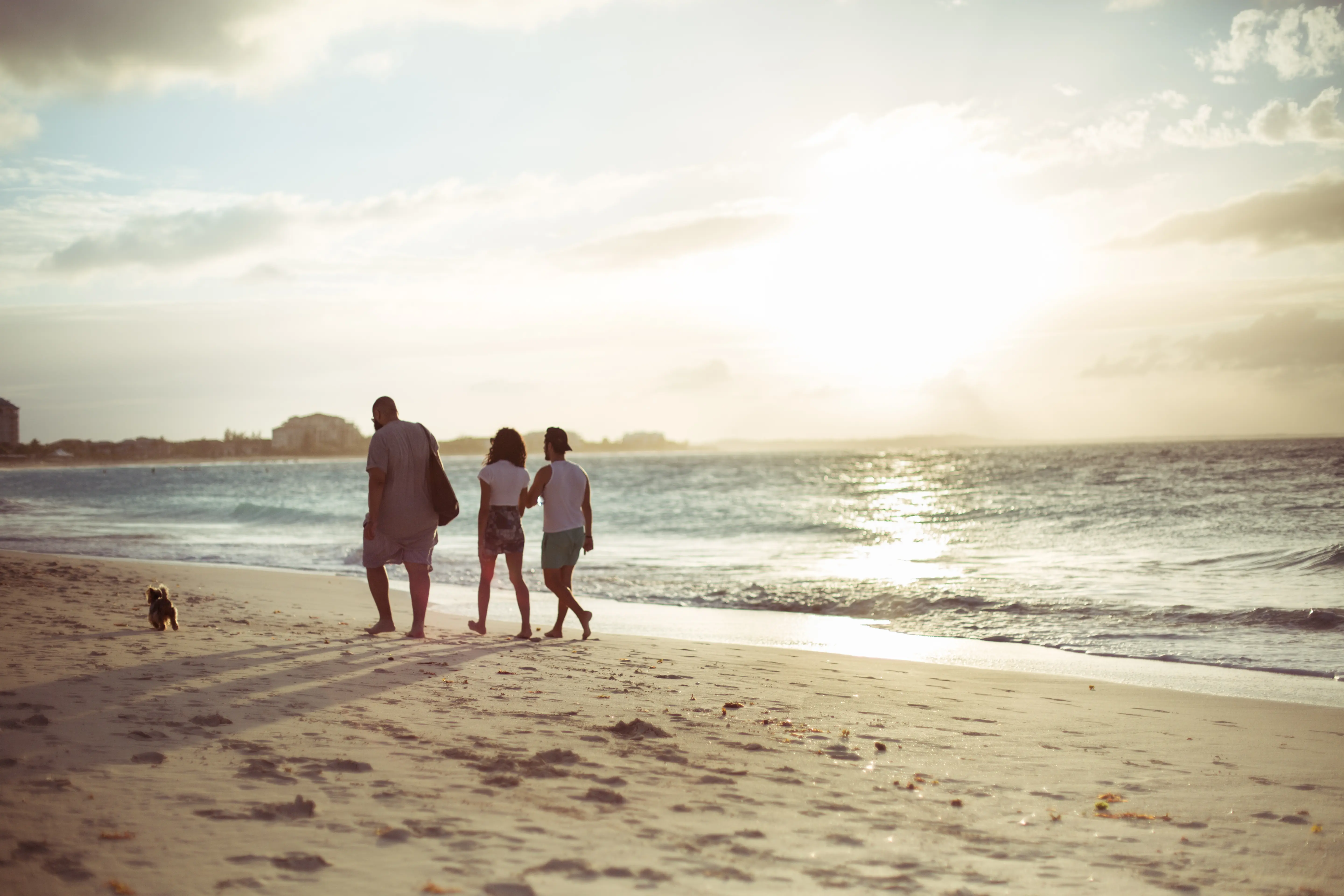 Image of people walking on a beach in Turks and Caicos, with a dog.
